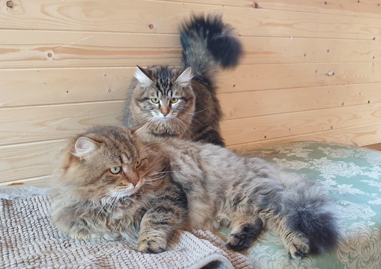 Опять где то шлялся до утра