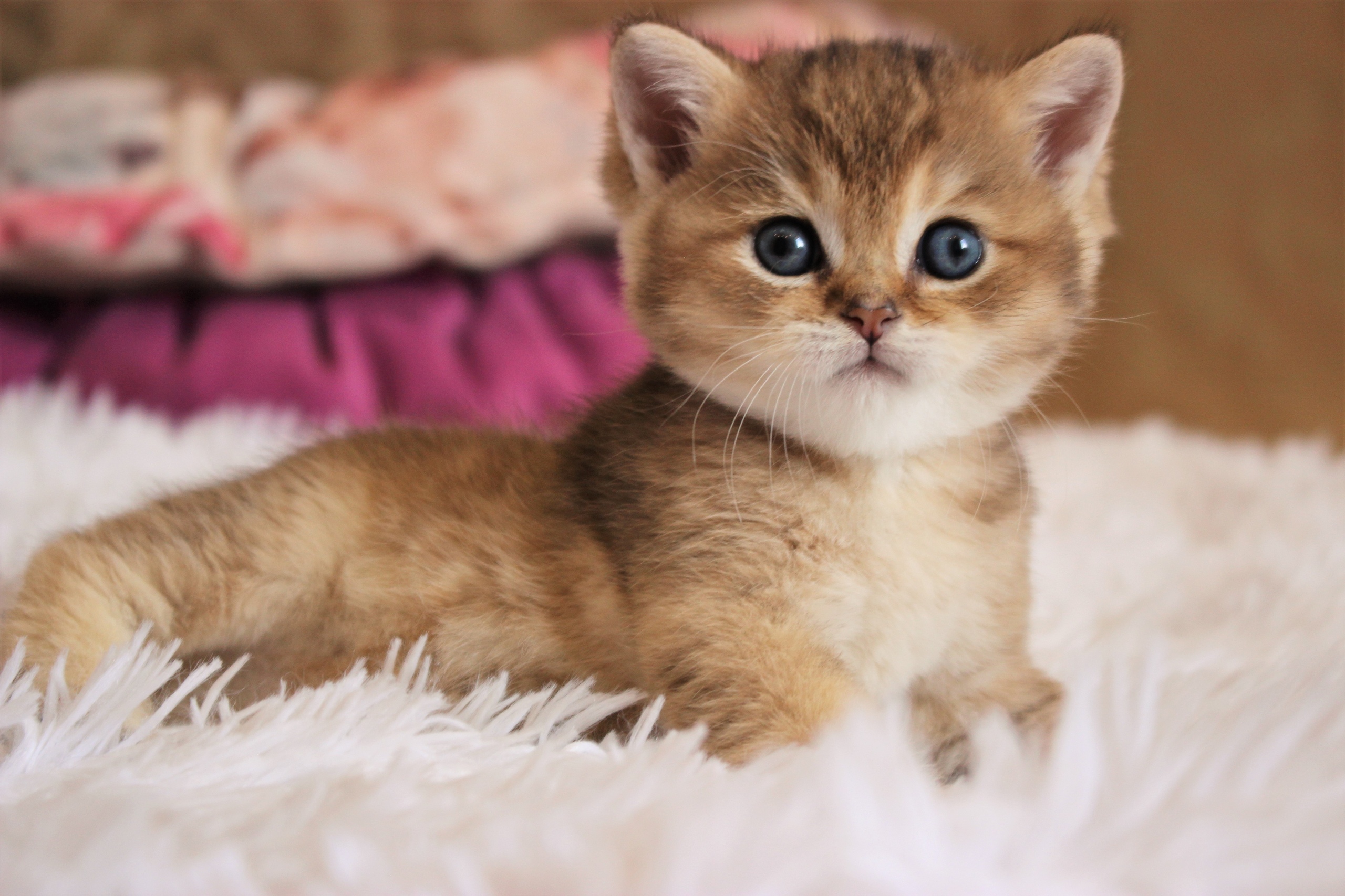 Чем это Вы там занимаетесь, я тоже хочу