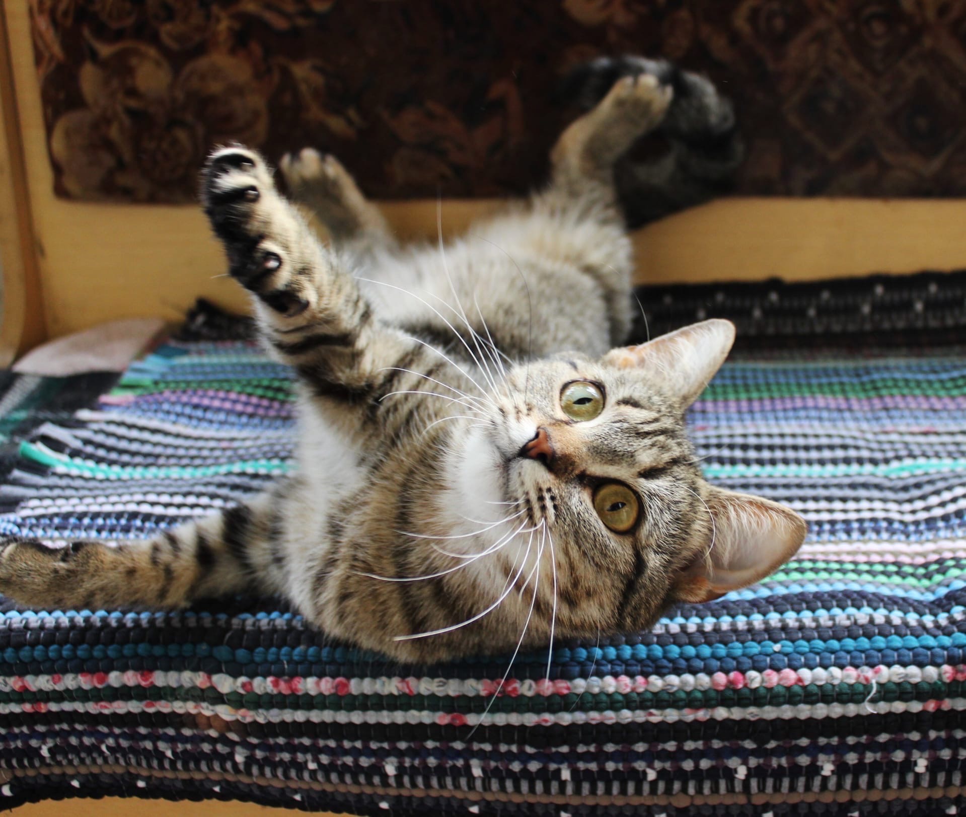 Кто, что, куда, без меня