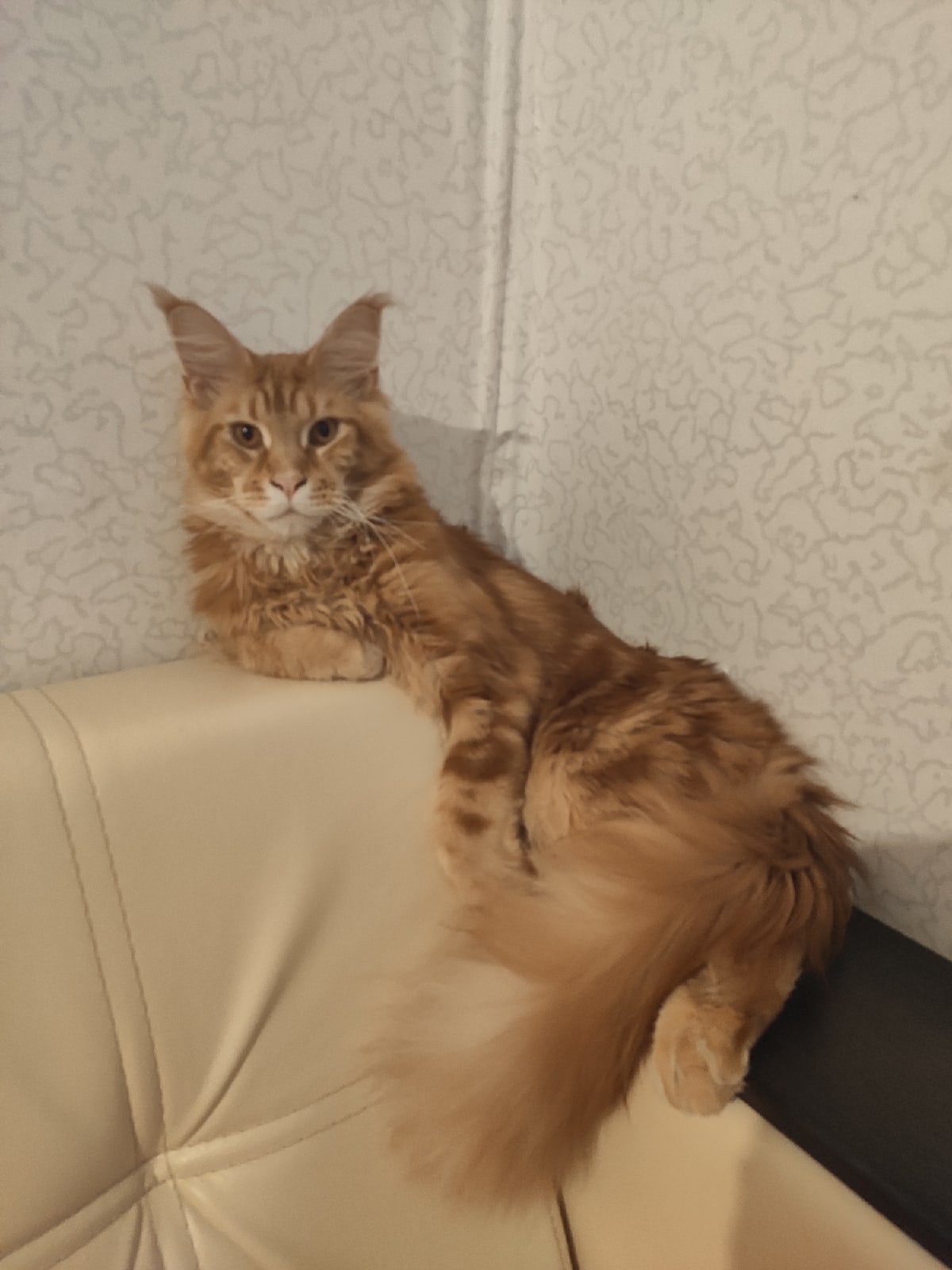 Присаживайтесь рядышком, я Вам массаж сделаю