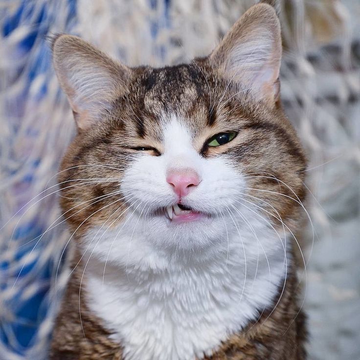 Что бы такого, сделать плохого