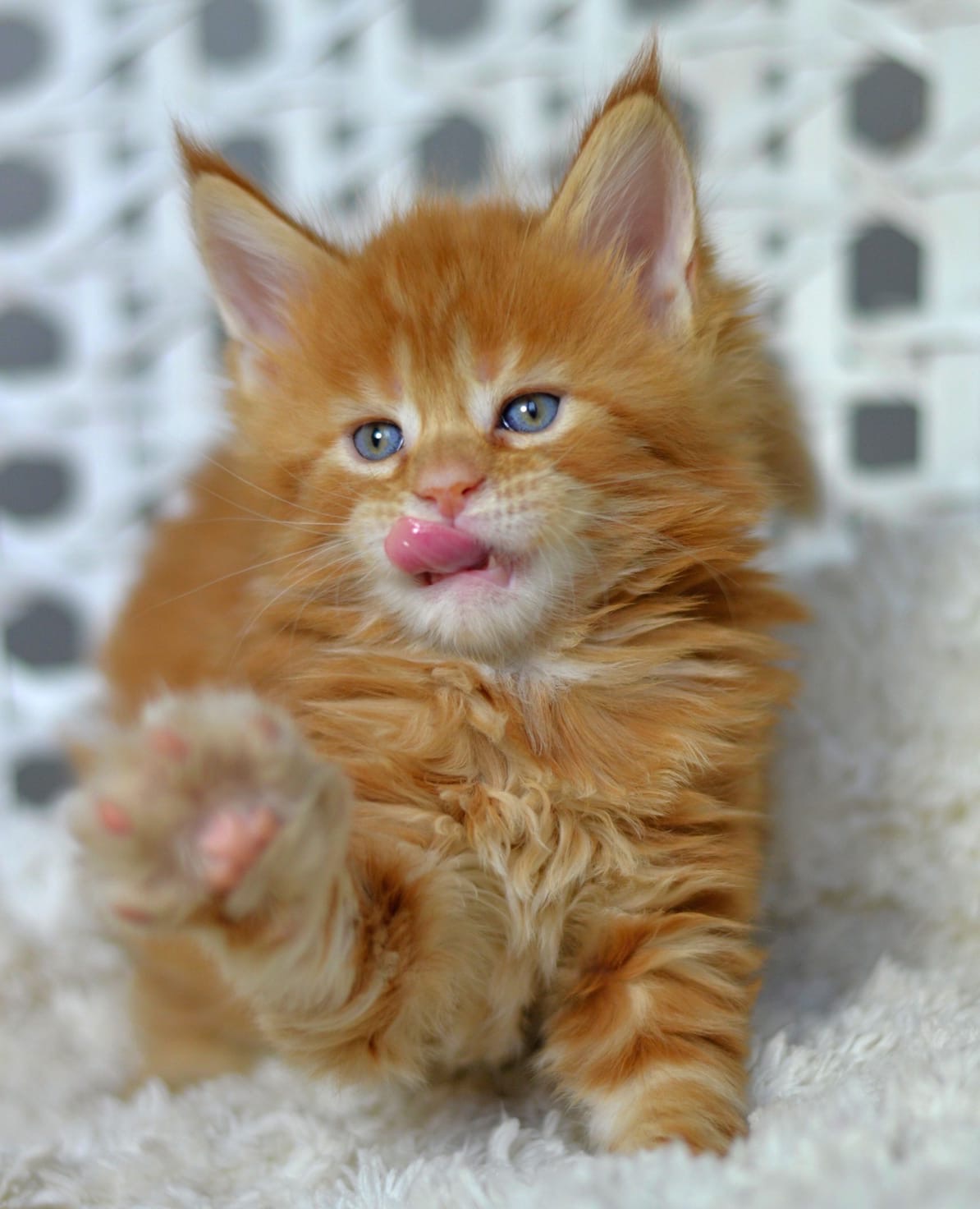 Пойду - ка я, перекушу