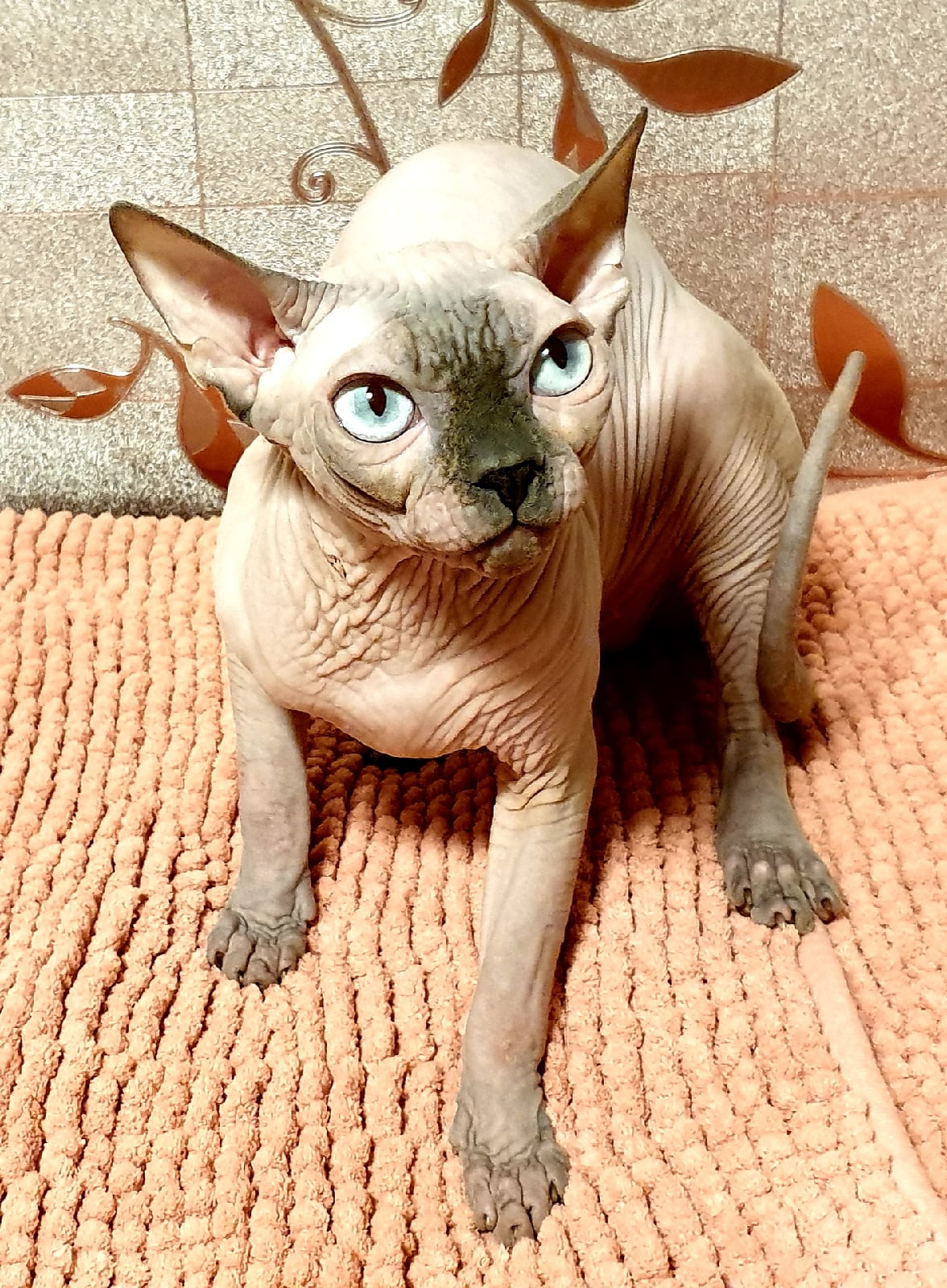 Я не трус, но я боюсь