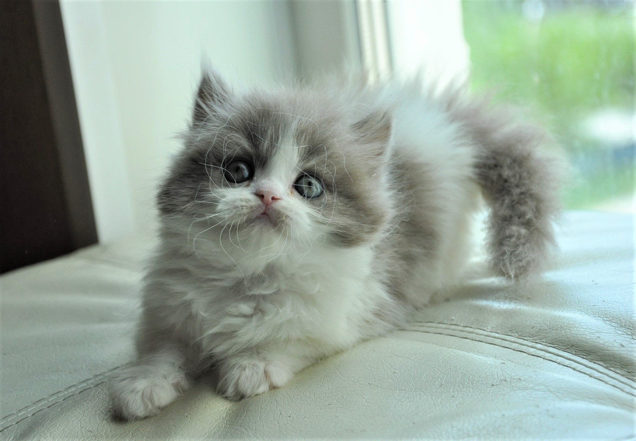 Сейчас всем подниму настроение