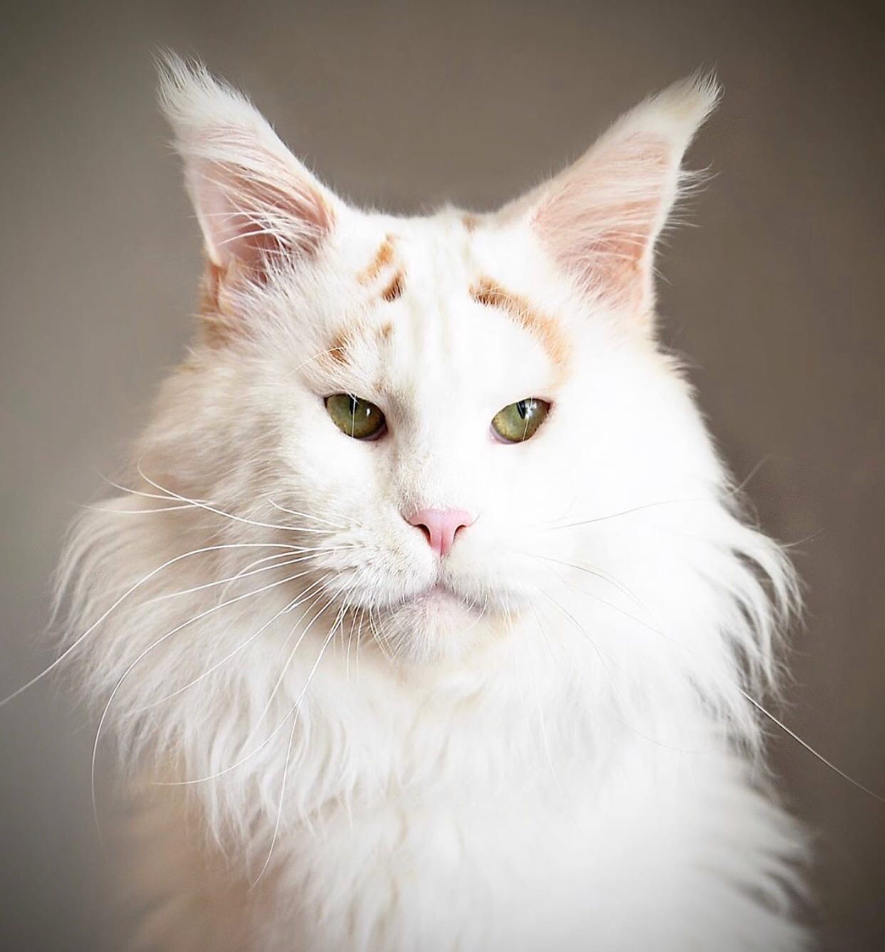 Если не развеселите, погибну от скуки