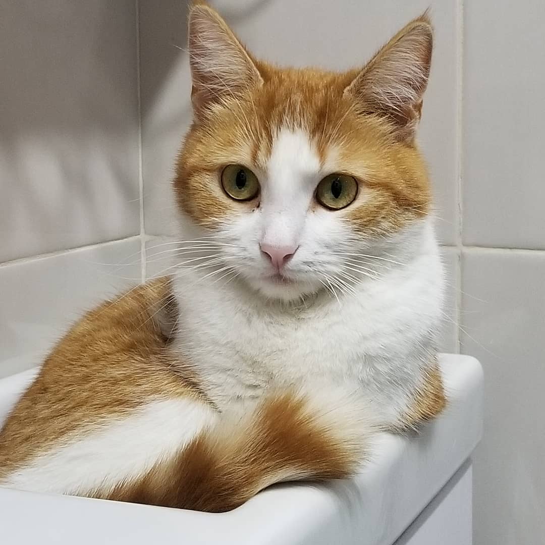 Умывайтесь, я мешать не буду