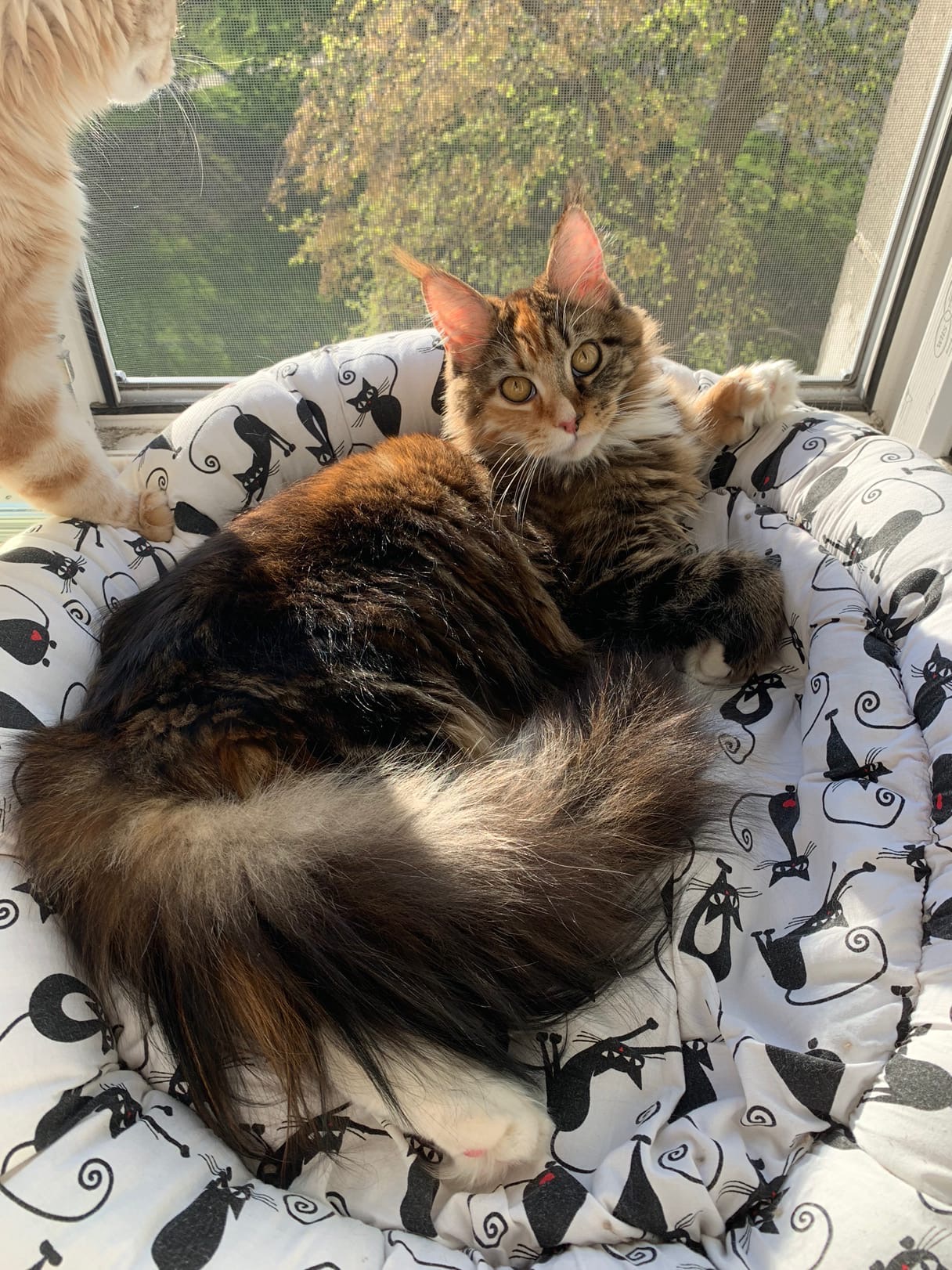 Кто место занял, тот и балдеет