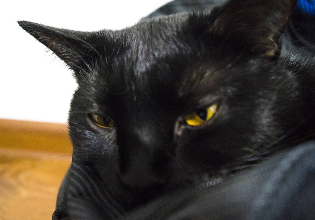 Кажется, я засыпаю