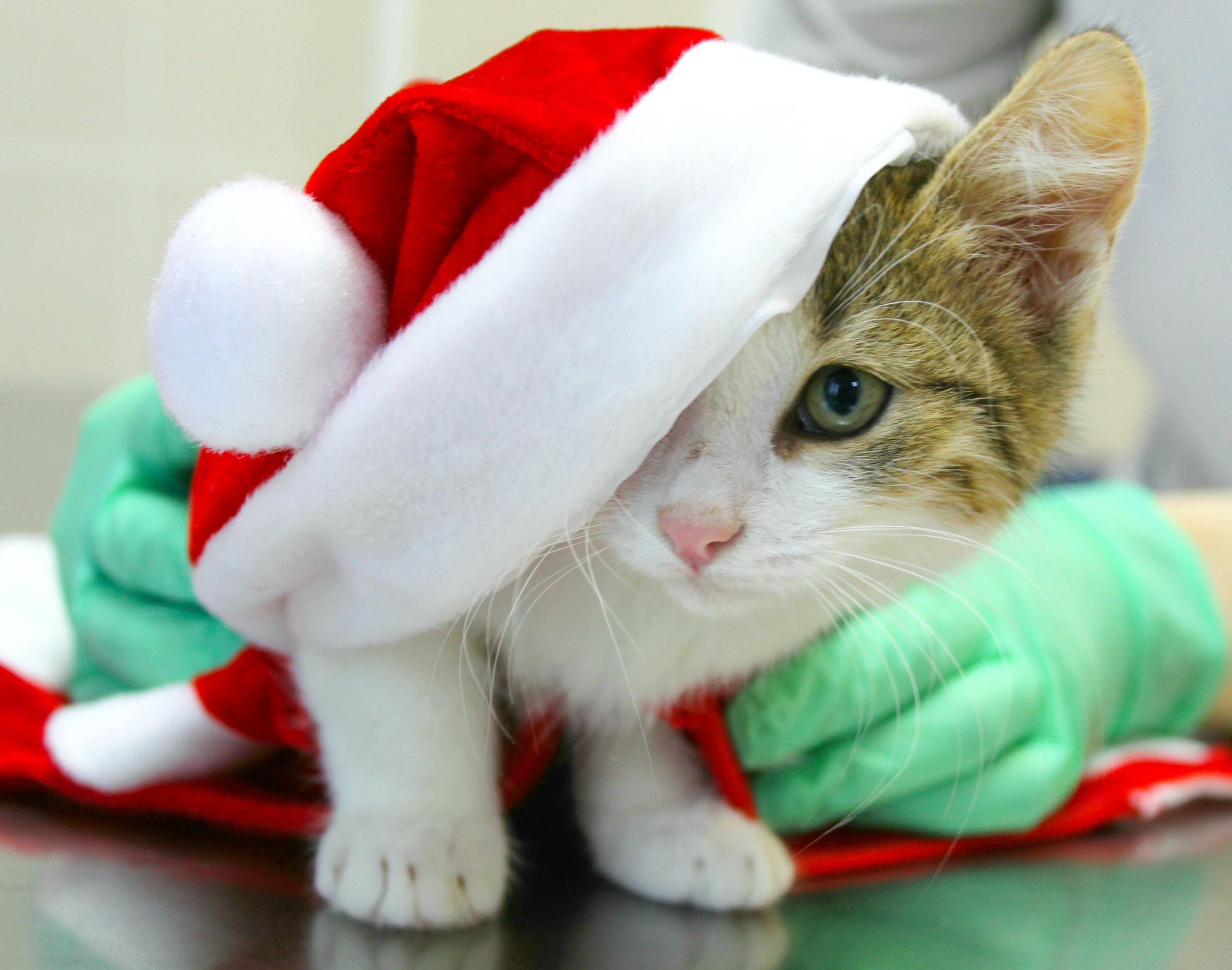 Я расстроен, костюмчик мне великоват