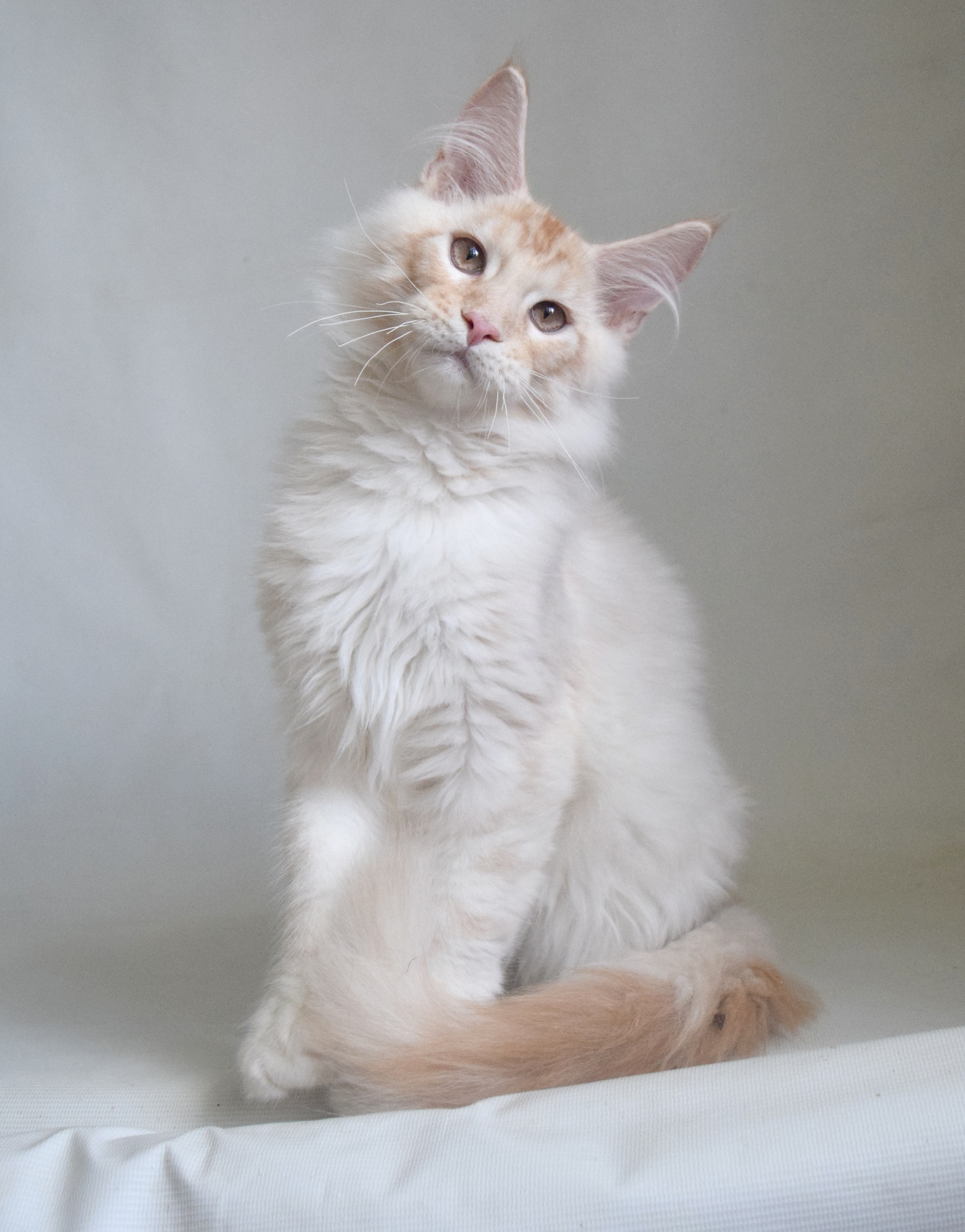 Может хватит меня фотографировать, я устал