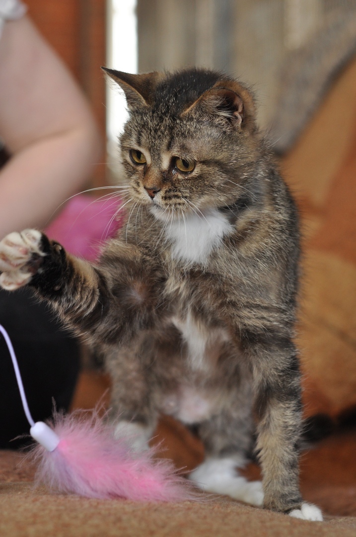 Сыграть что ли разочек