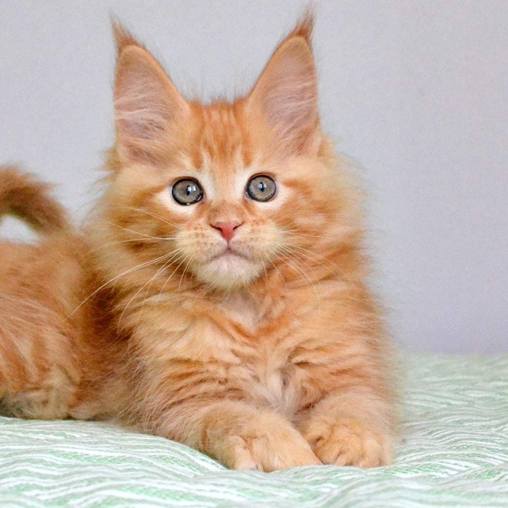 Сейчас отдышусь и опять буду играть