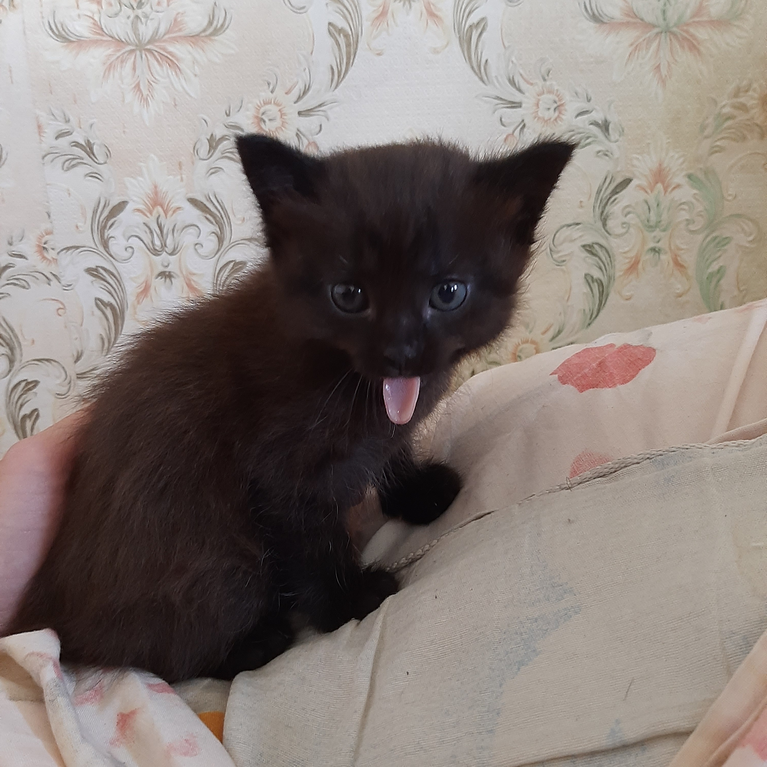 Кто обзывается, тот сам так и называется!