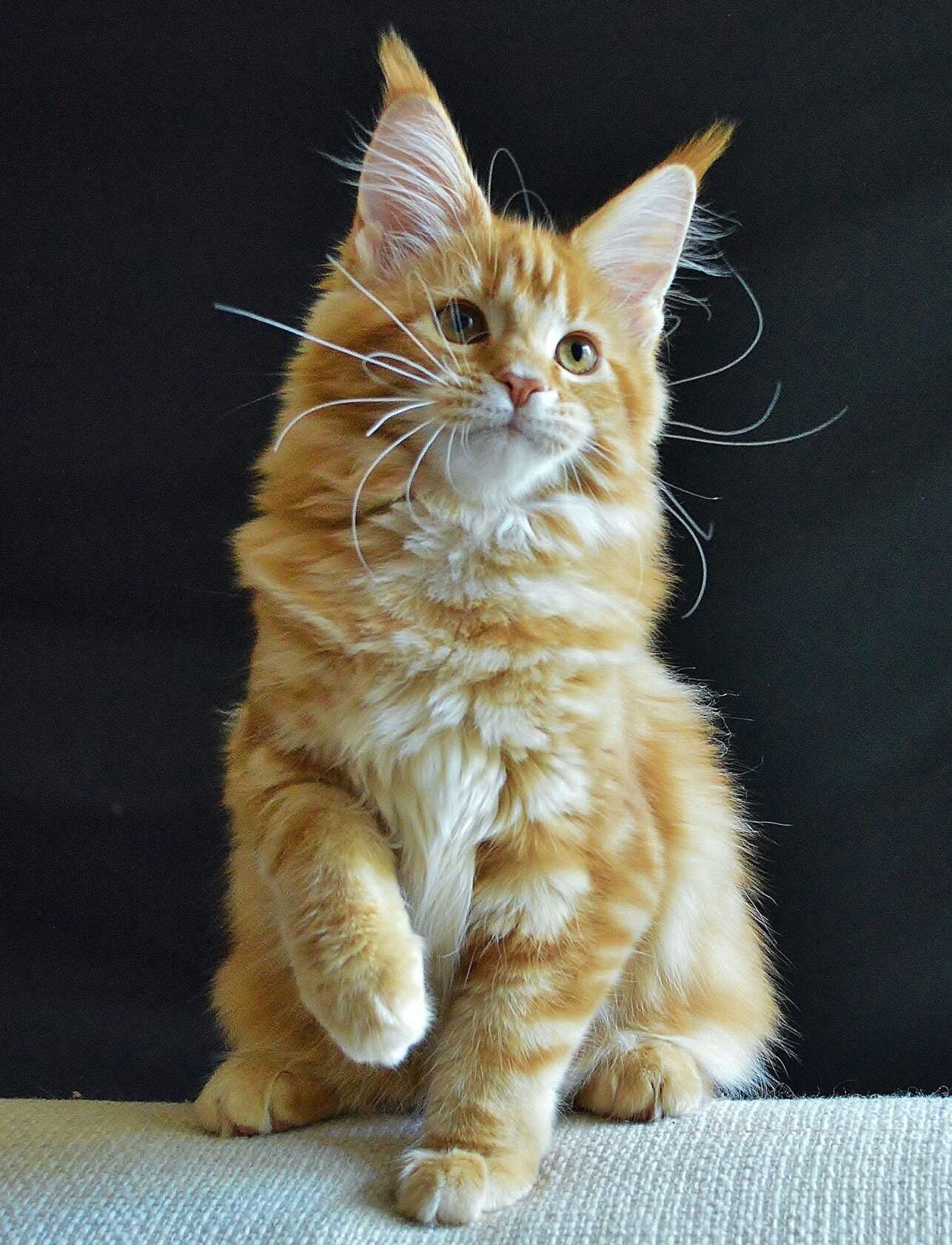 Фоткайте меня, мне это нравится