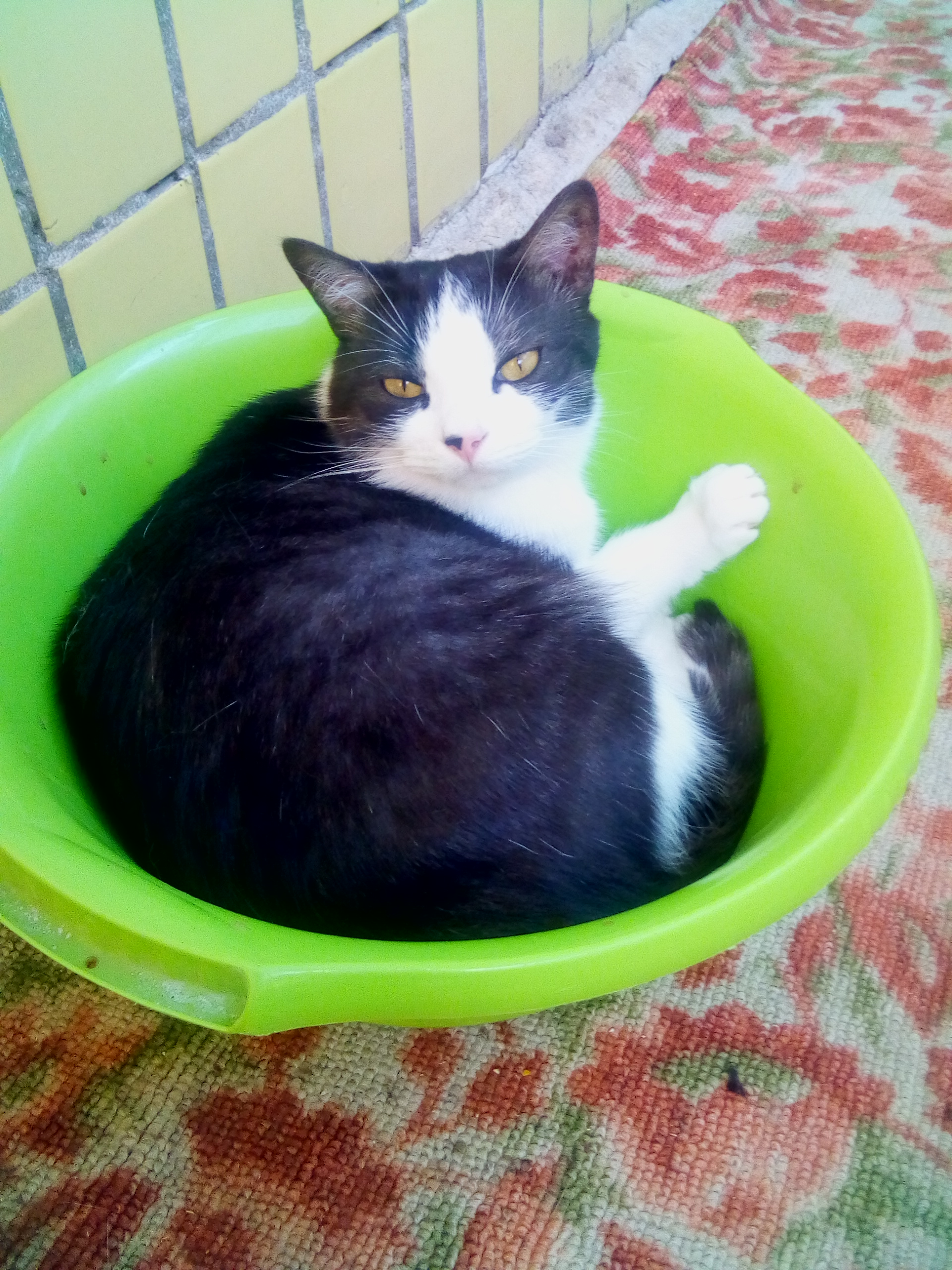 Это моя чашка и я в ней буду спать