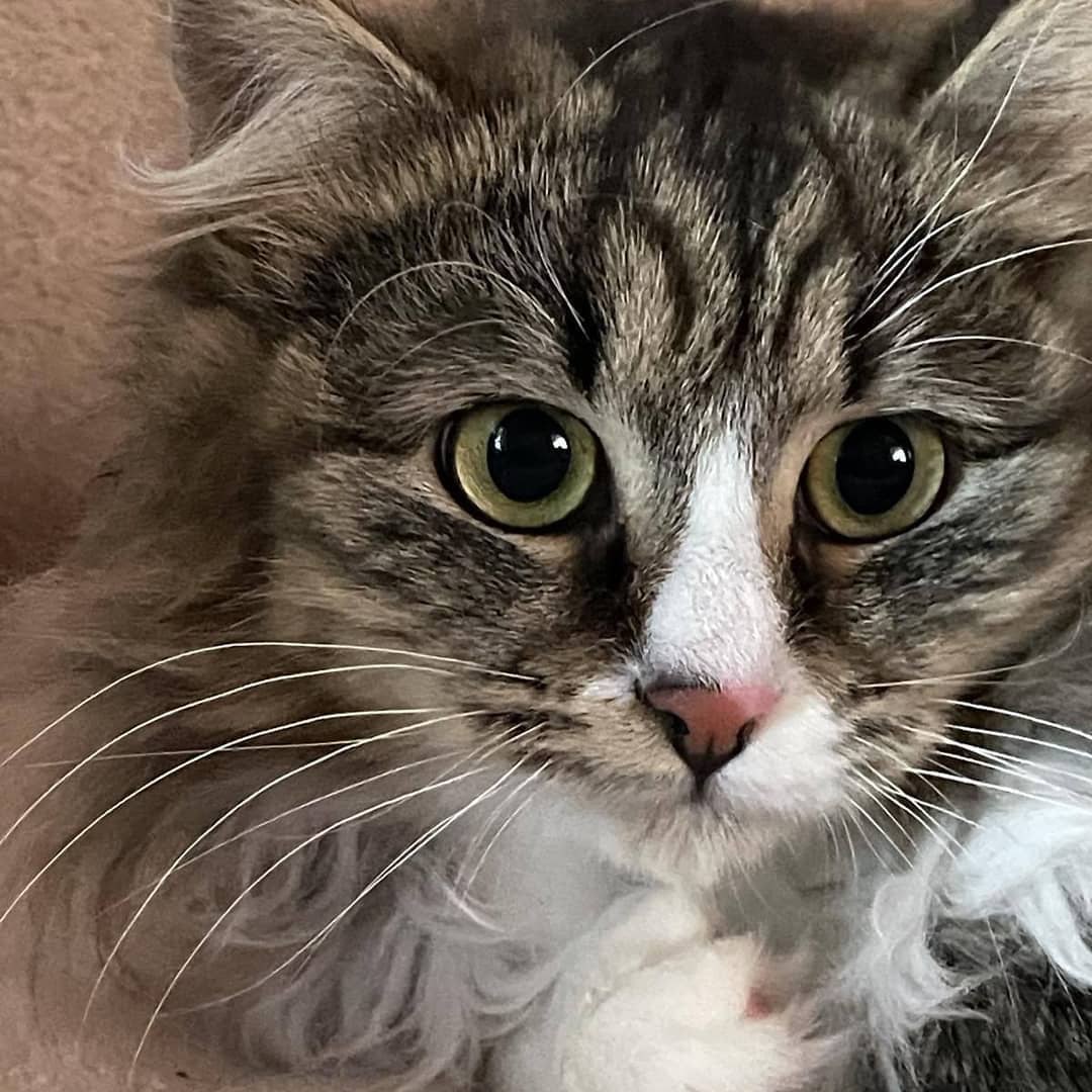 Чем бы мне сегодня заняться