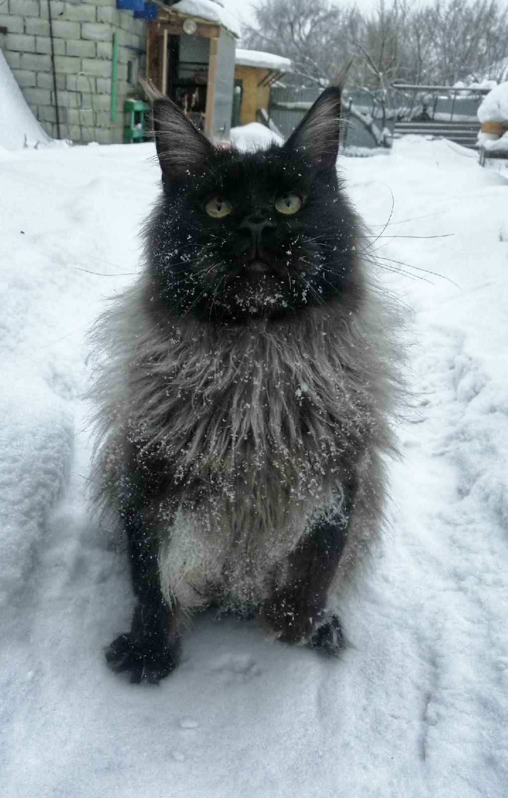 Выходите гулять, здесь здорово