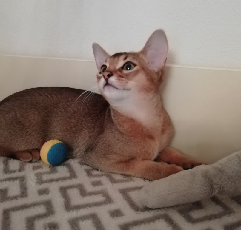 Не хочу играться, хочу валяться