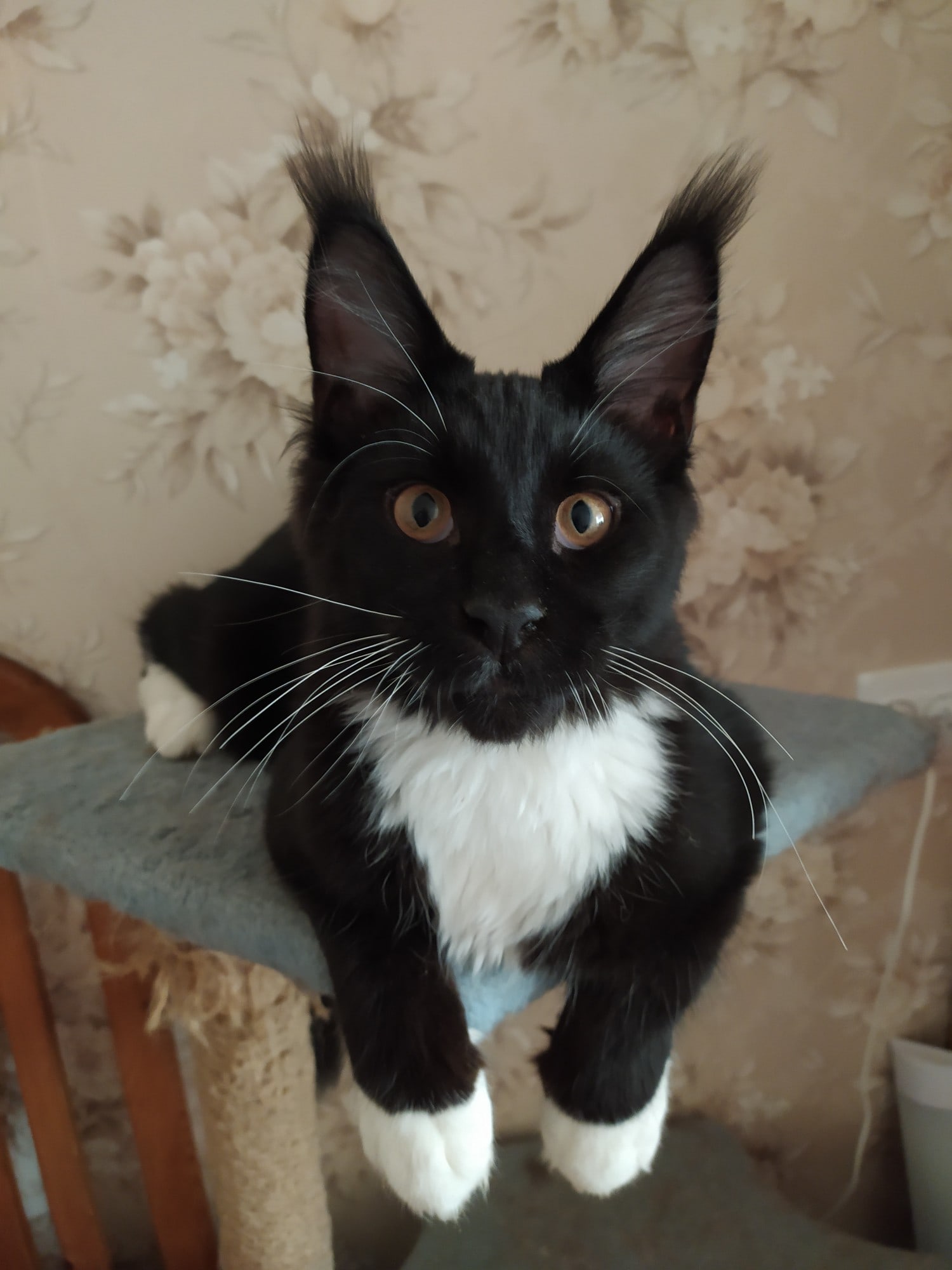 Вы на работу не пойдёте, пускай сама приходит