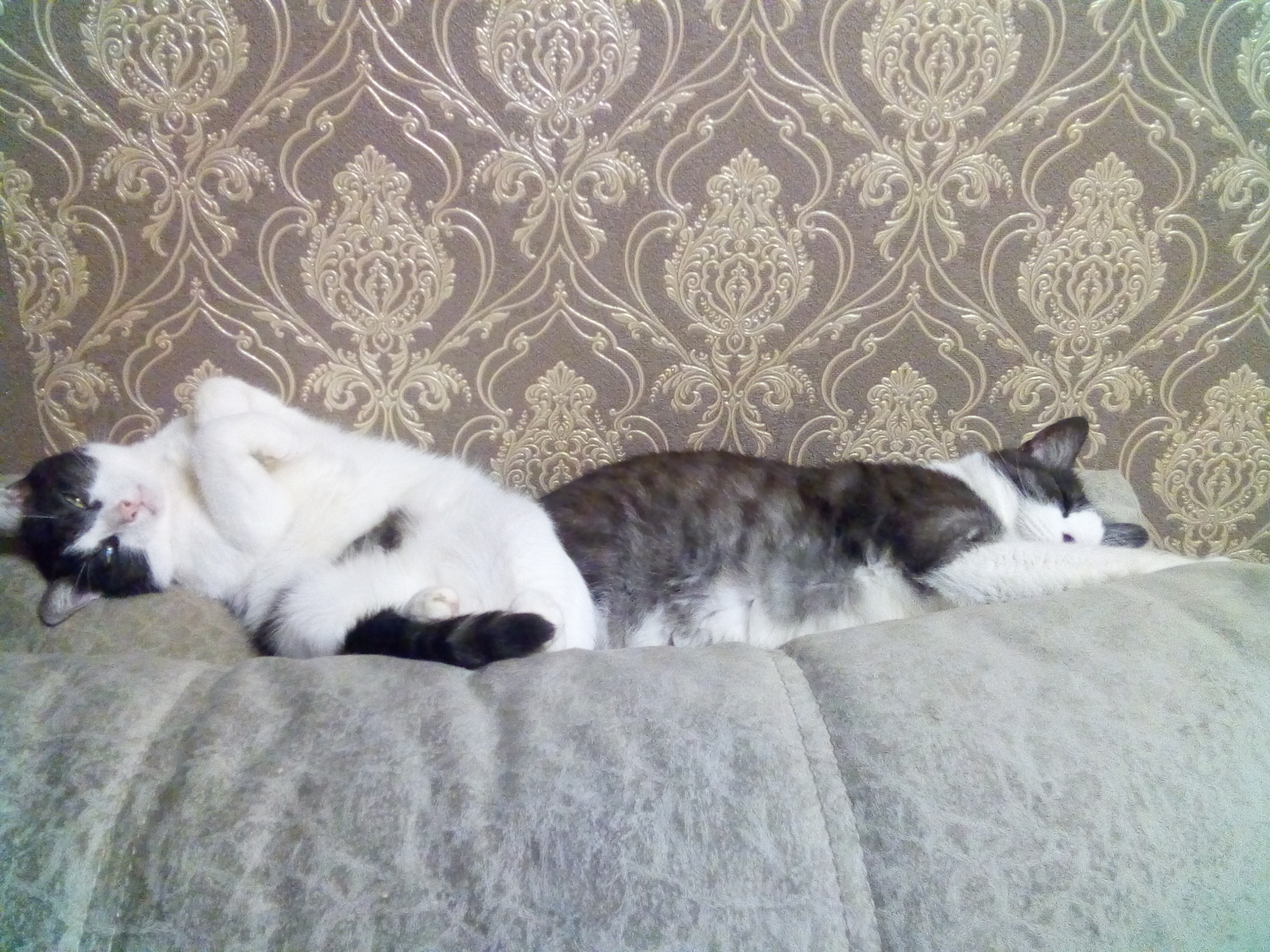 Надо хорошенько выспаться перед встречей Нового года