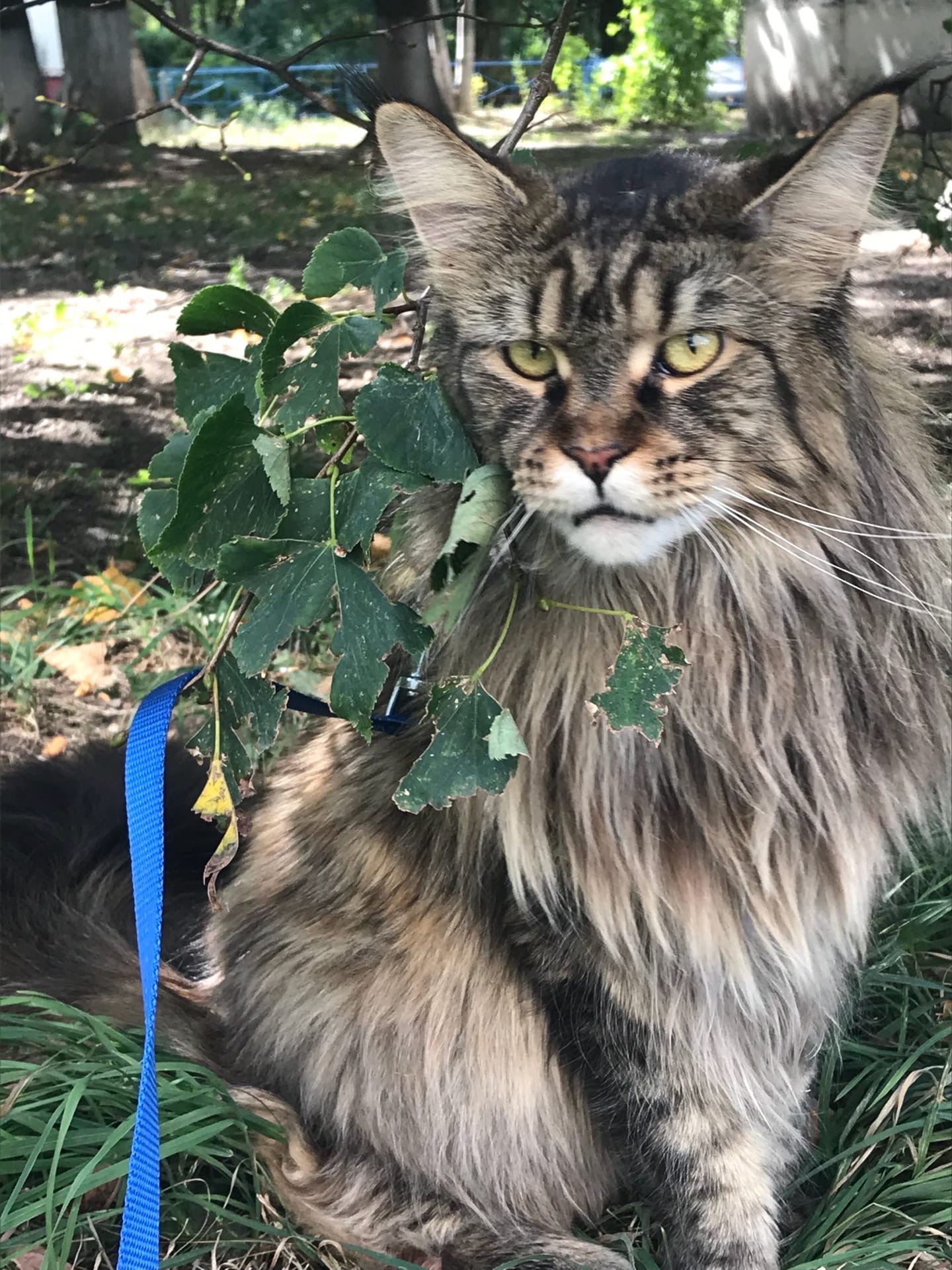 Мне тут не нравится, лучше бы я дома остался