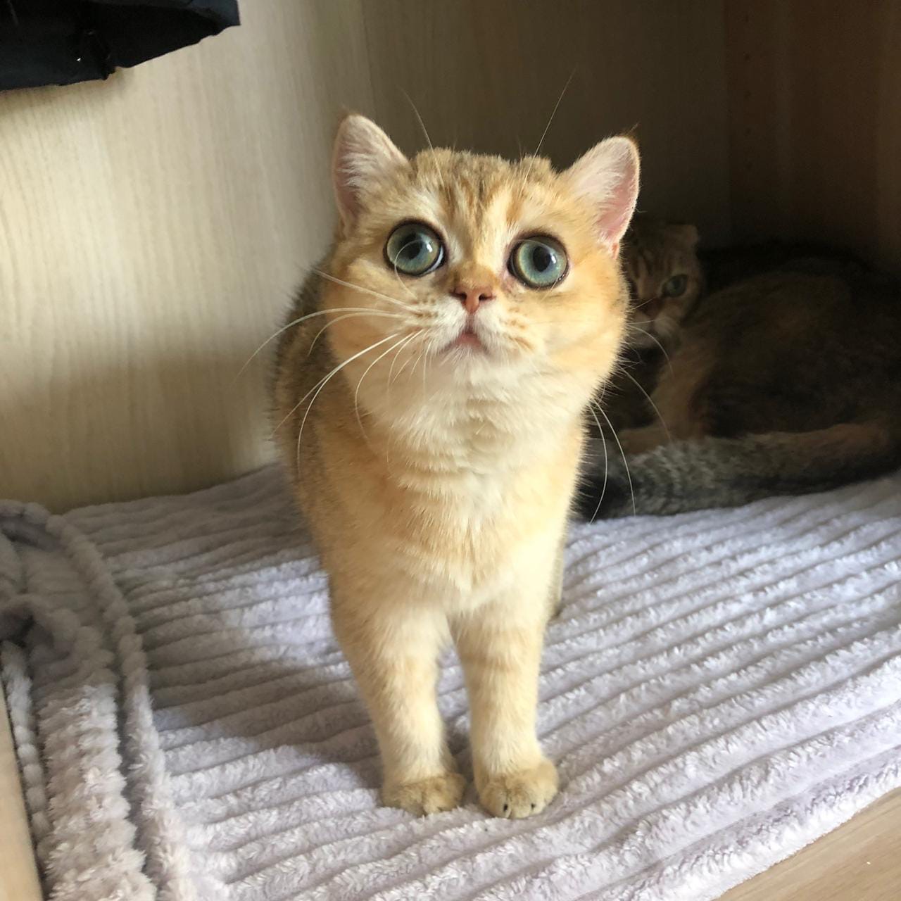 Моя подружка устала, пускай отдохнёт