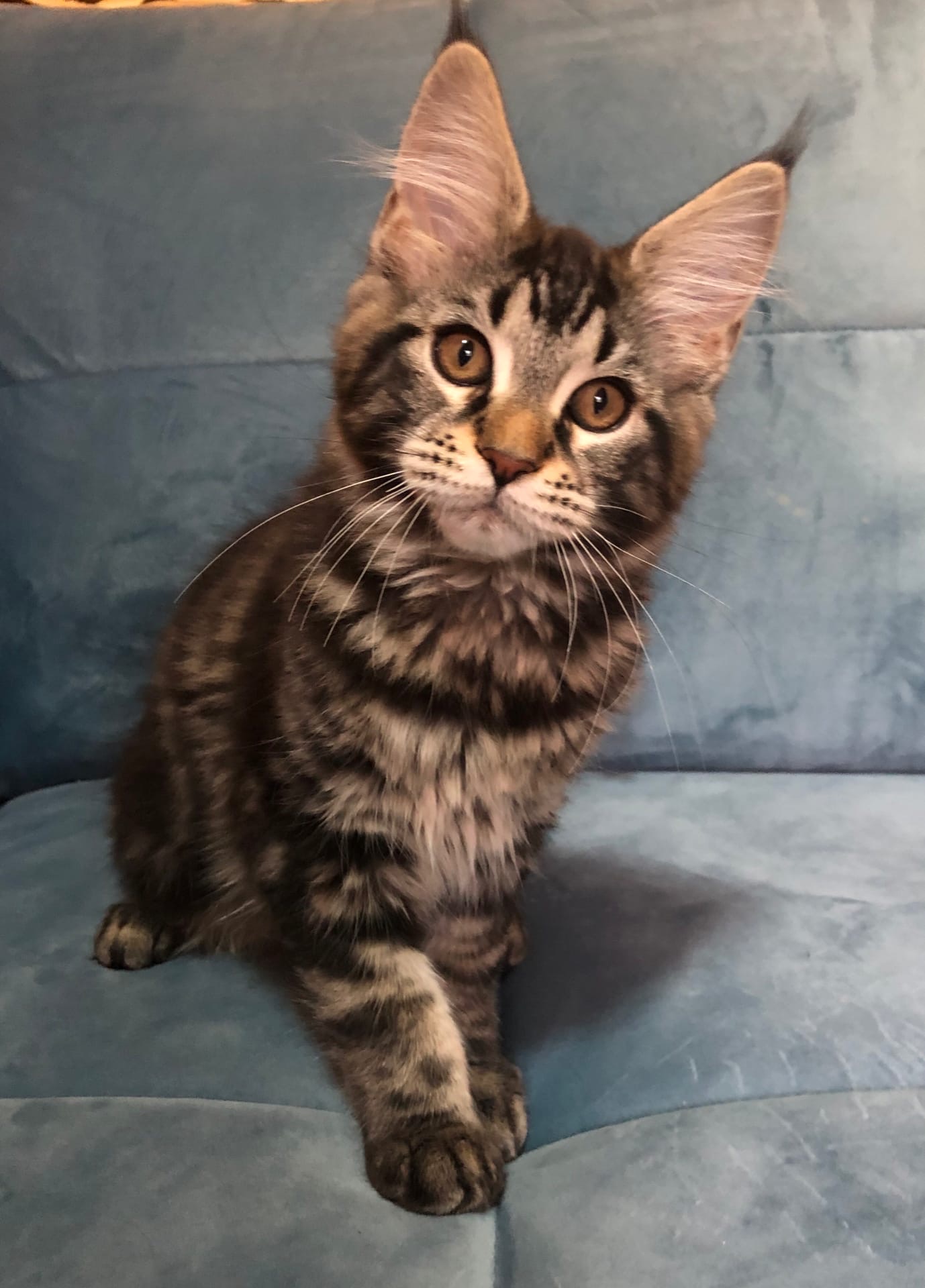 Если Вам нужна помощь, я с удовольствием помогу