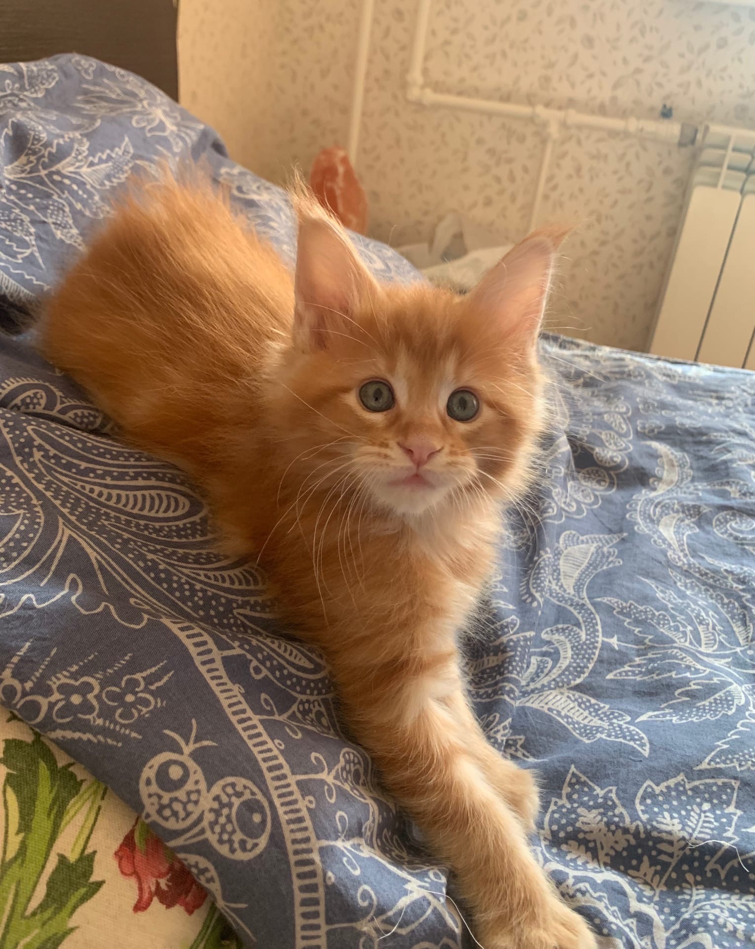 С краю спать не буду, буду так