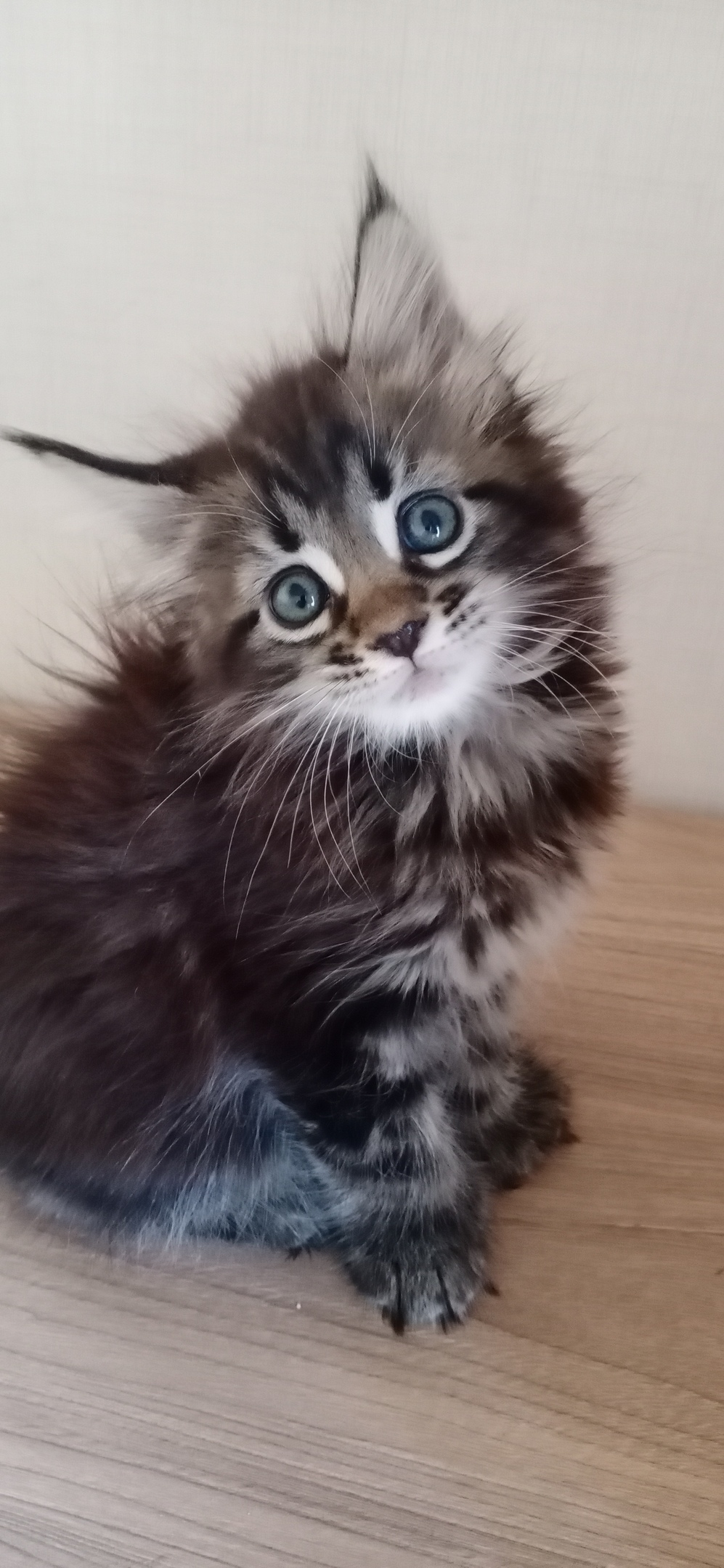 У меня сегодня настроение как у мячика, буду скакать