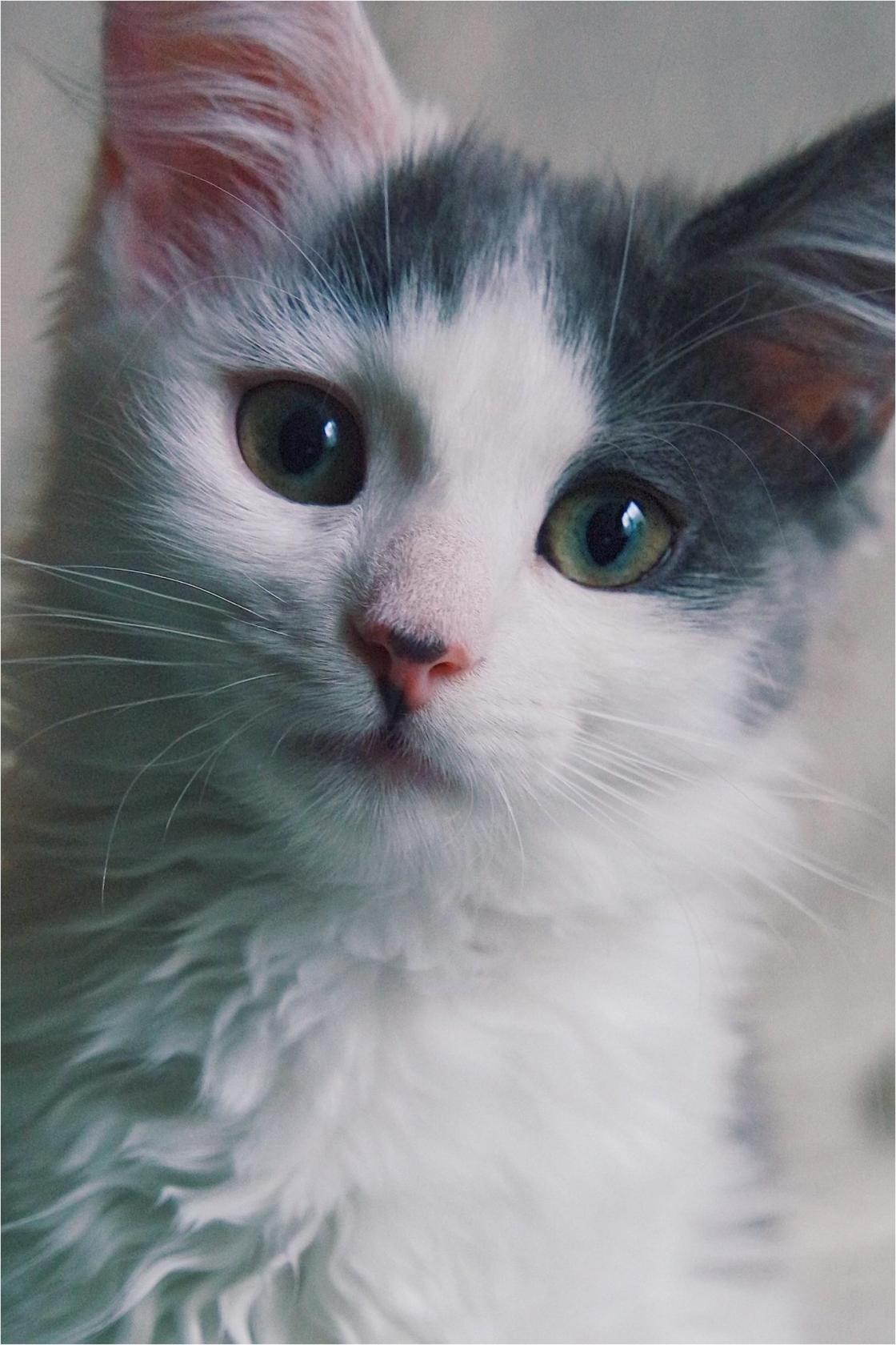 Чем занимаетесь, может я составлю Вам компанию