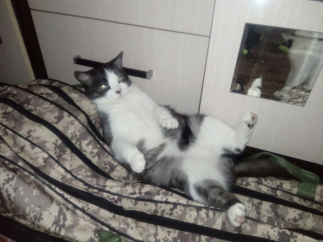 Или на рыбалку вместе идём, или удочки не получите