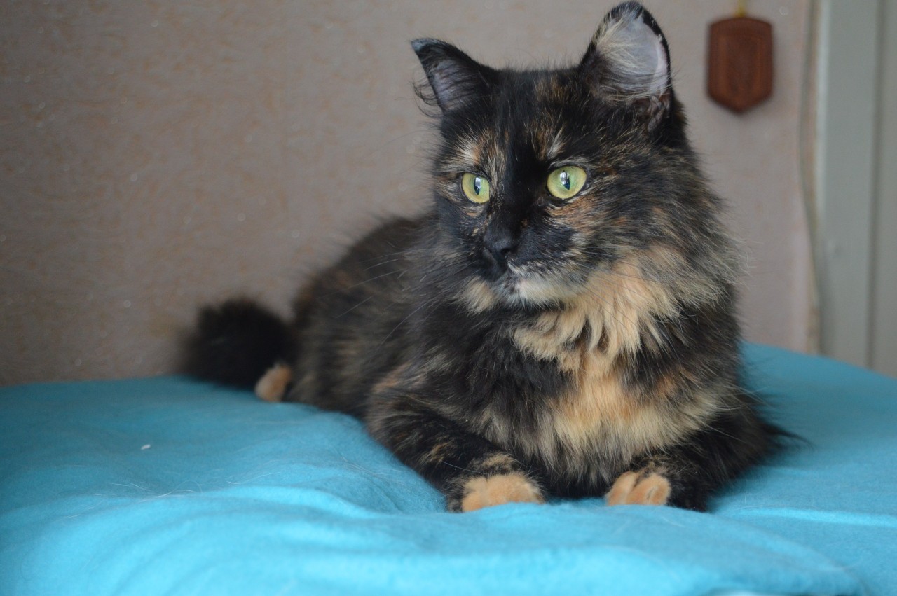 Как это, утро уже наступило