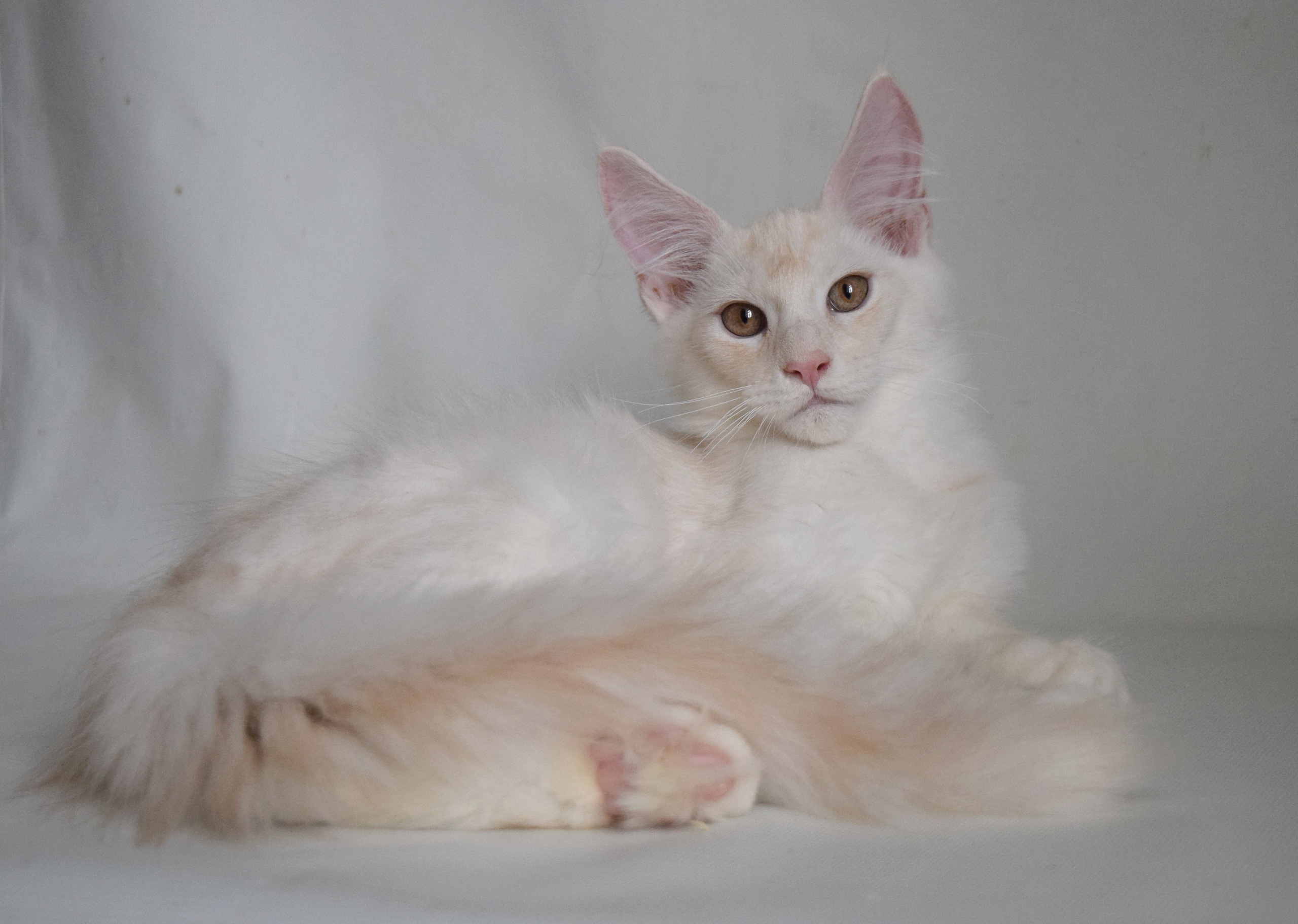 Сначала было забавно фотографироваться, а потом я устал