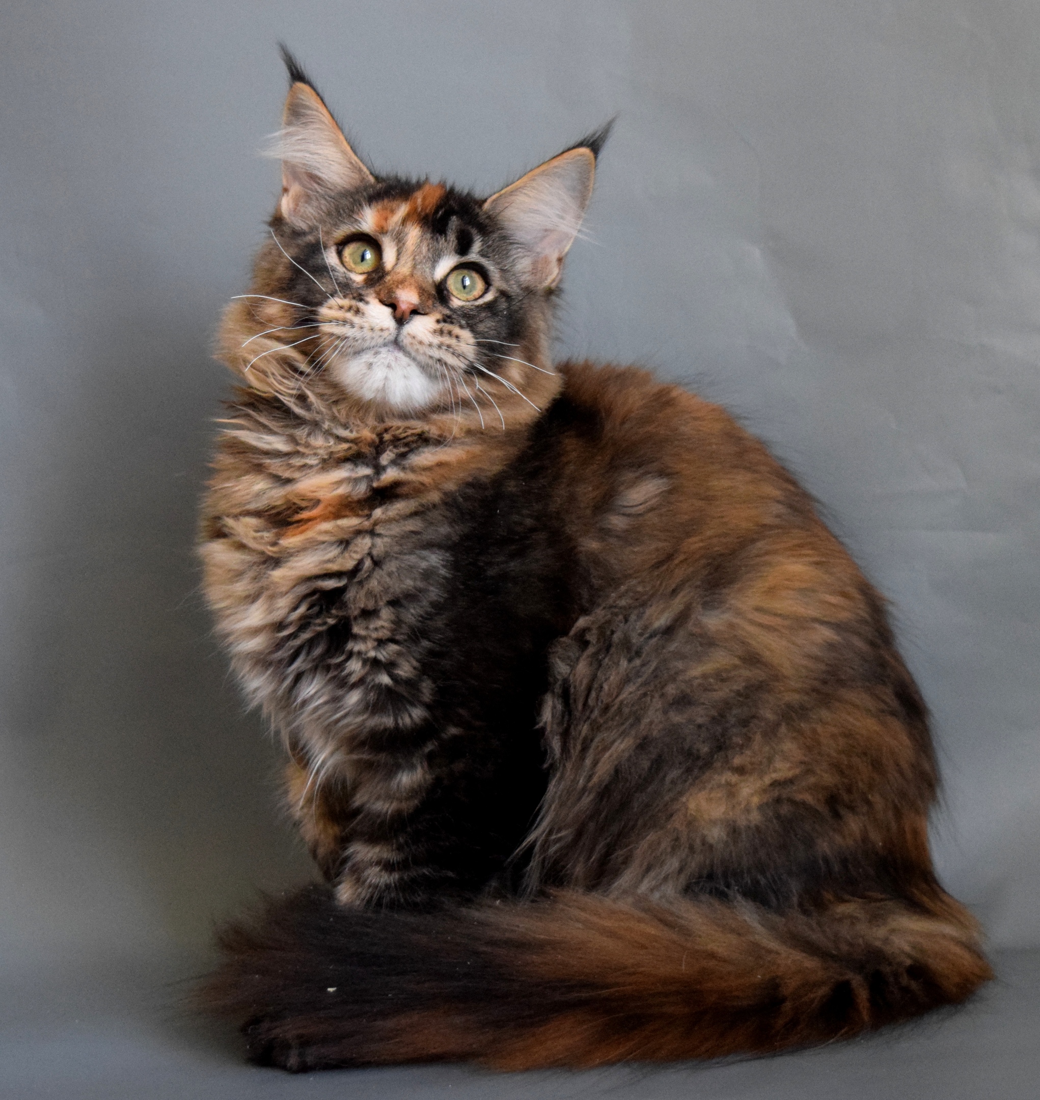 Не смущайте меня