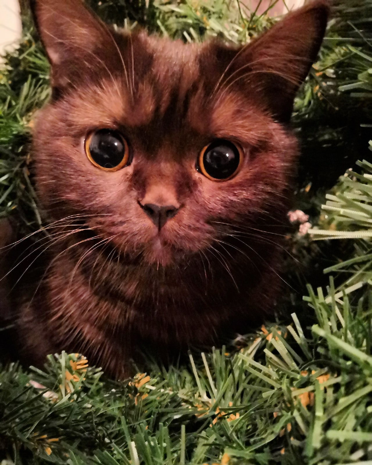 Что, опять праздновать