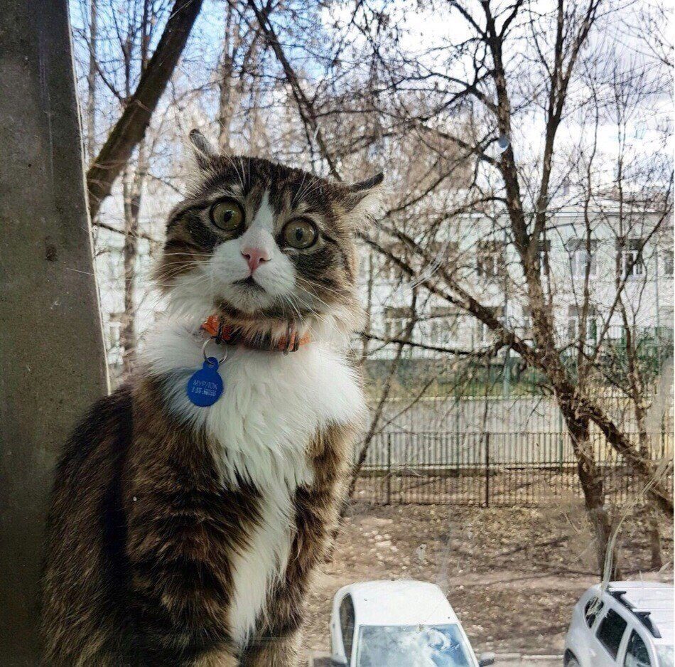 Зима пришла, а где снег