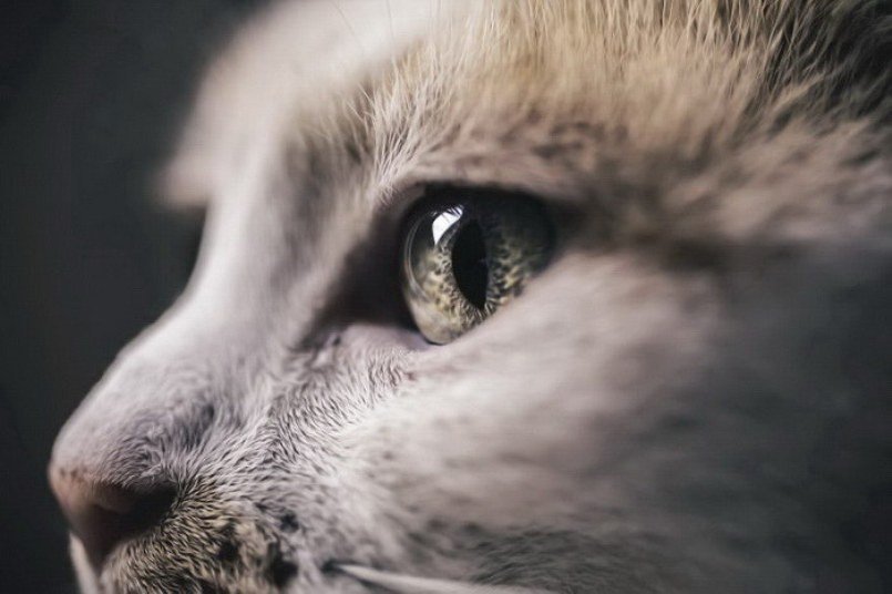 Ох уж, этот магнитирующий взгляд