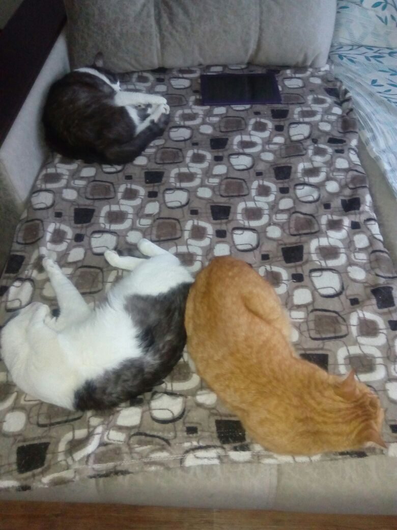 Наши ребята ушатались непогодой