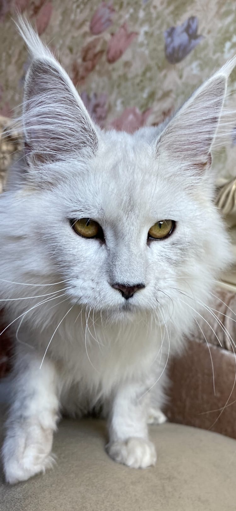 Я обиделся, я буду мстить