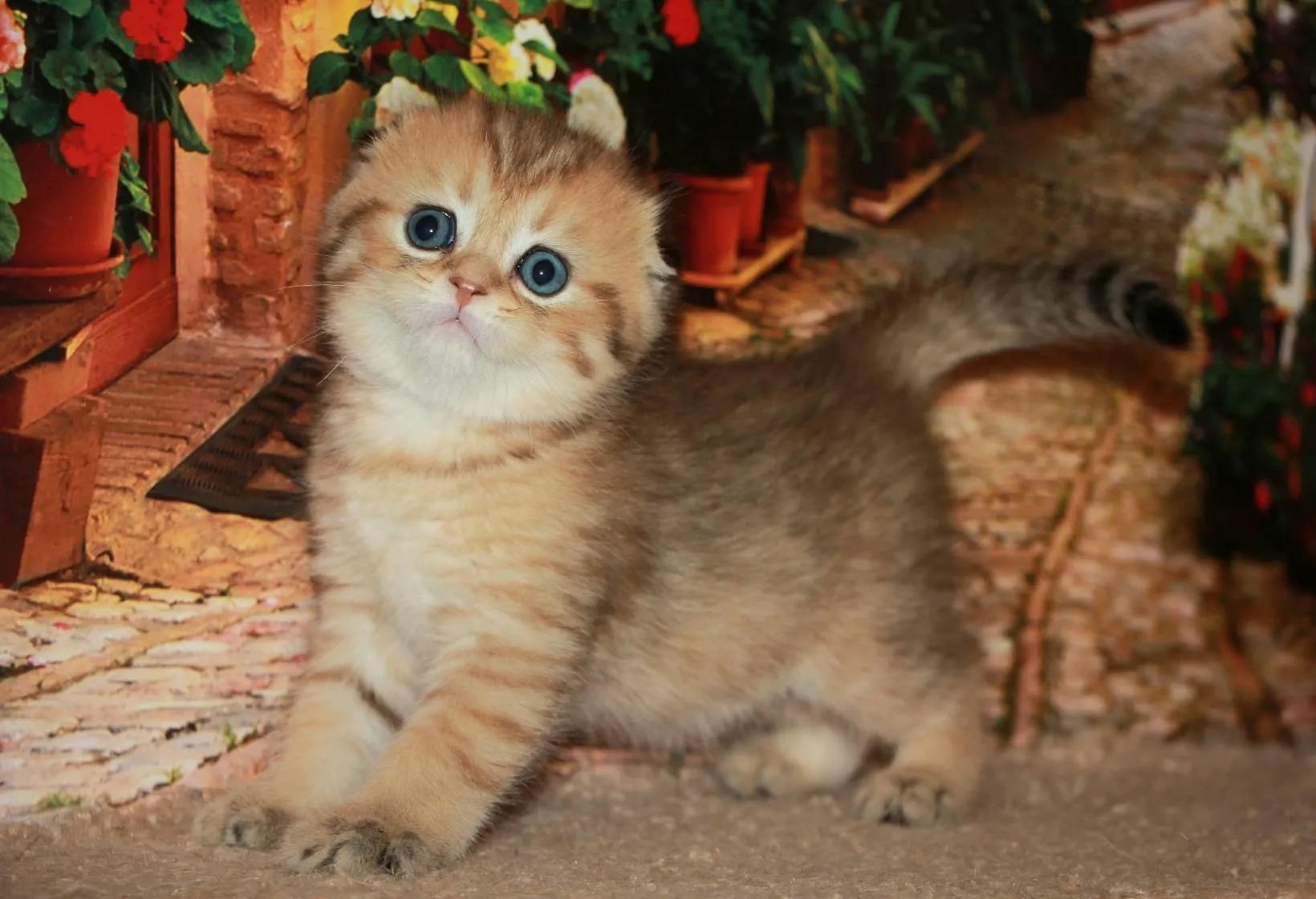 Сами позавтракали, а меня не разбудили