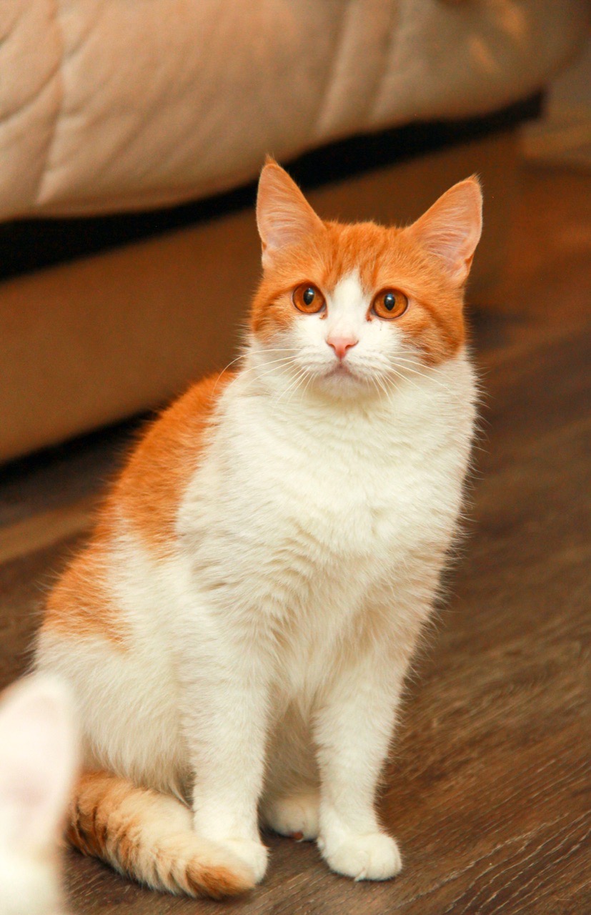 Не, не, я на улицу не пойду, там холодно