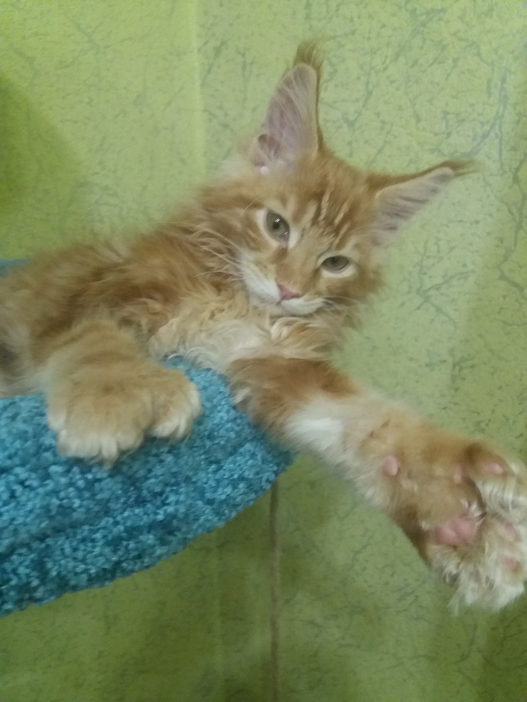 Помогите мне встать, что то я без сил