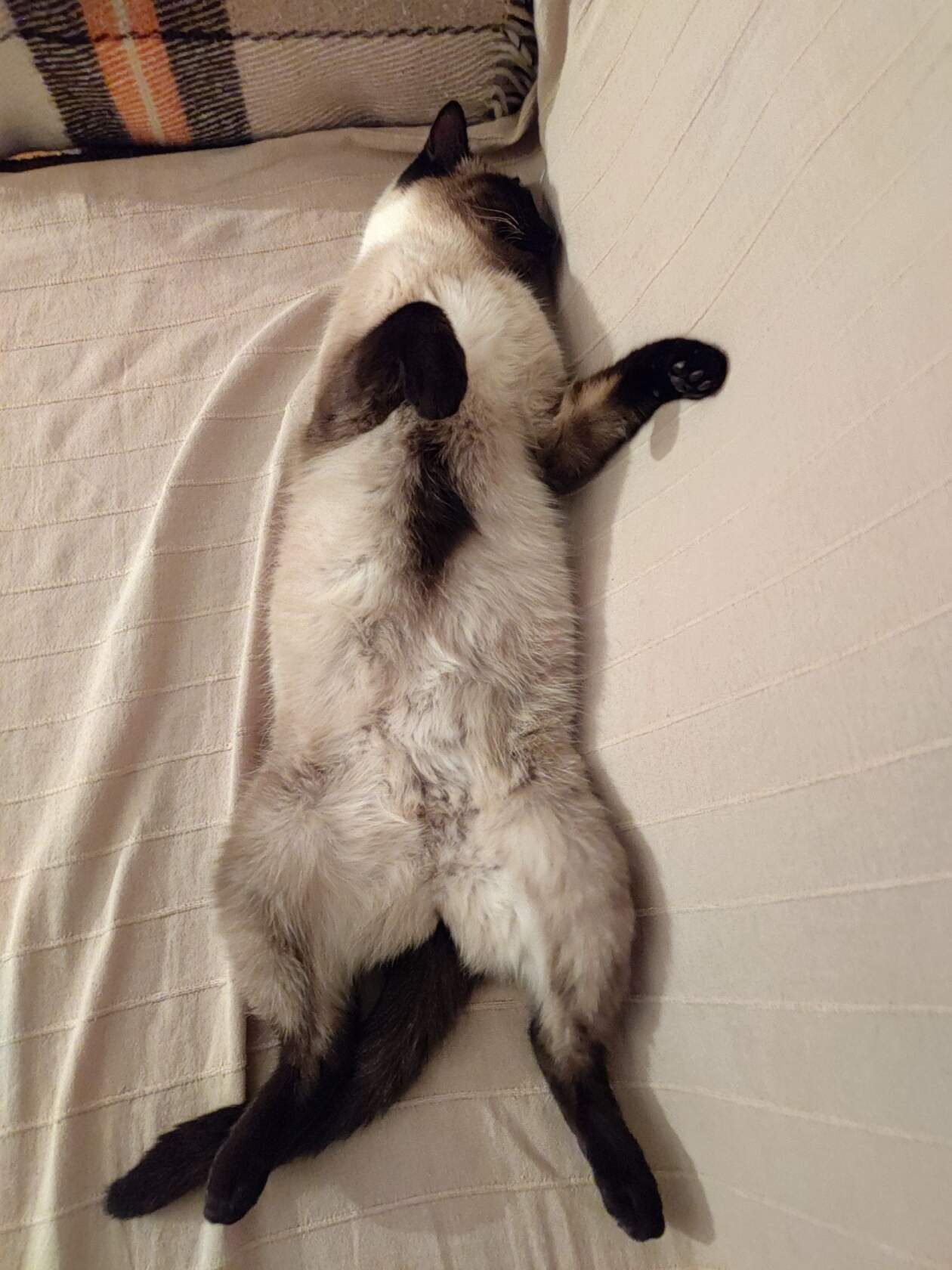 Ходите на цыпочках, дайте выспаться