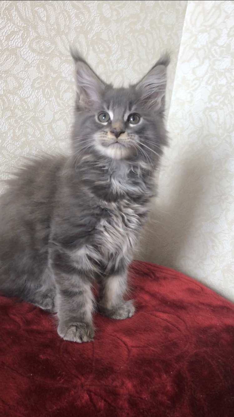 Я выспался и готов к приключениям