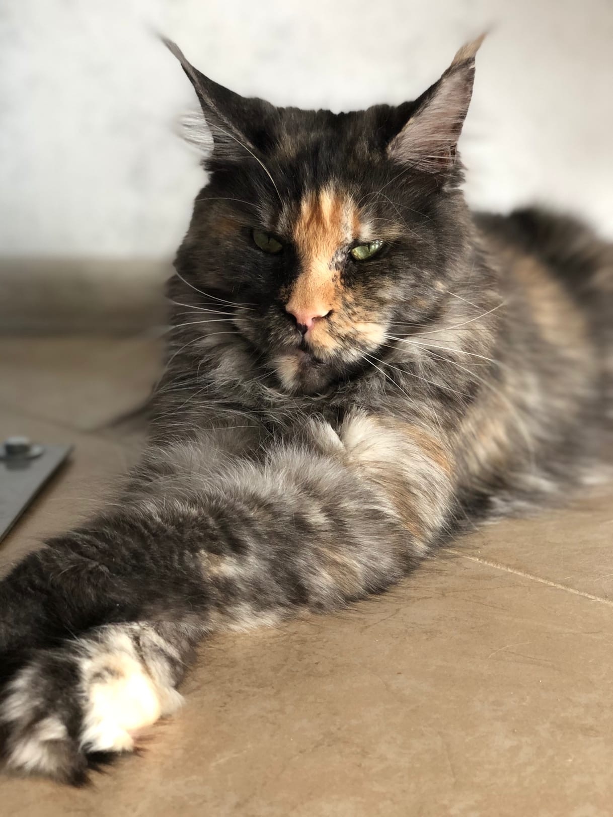 На улице уже расцвело, а хозяева всё спят