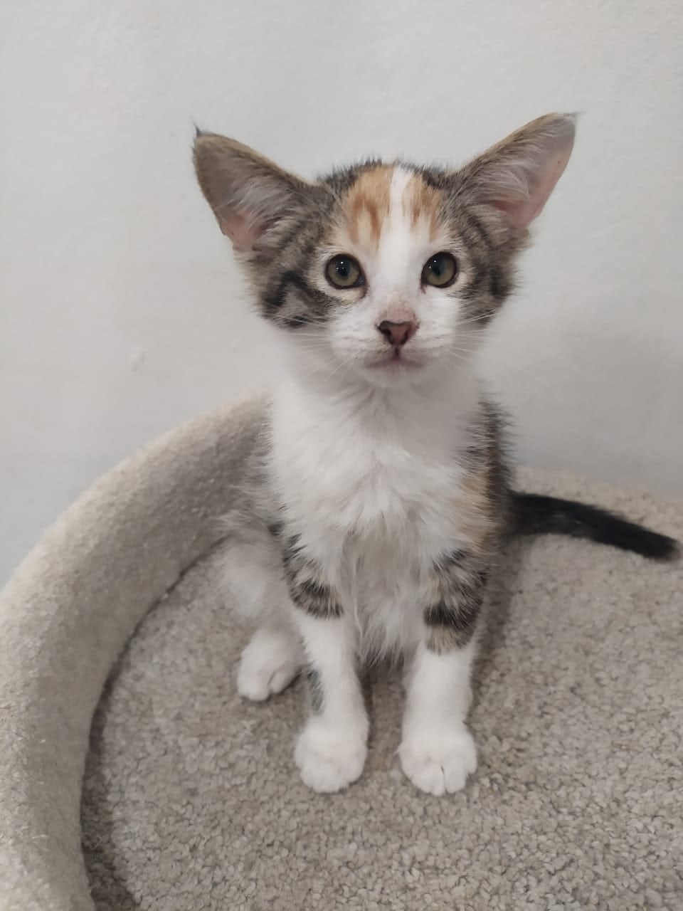 Вы скоро дела доделаете, я Вас заждалась