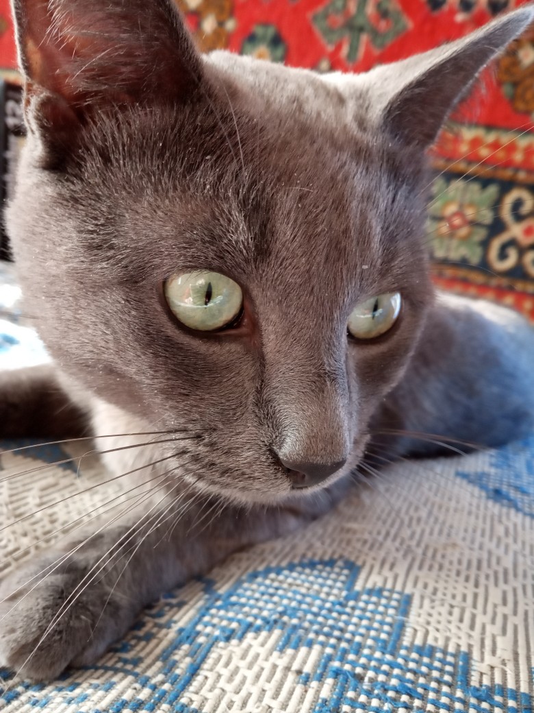 Не приставайте ко мне, я спать хочу