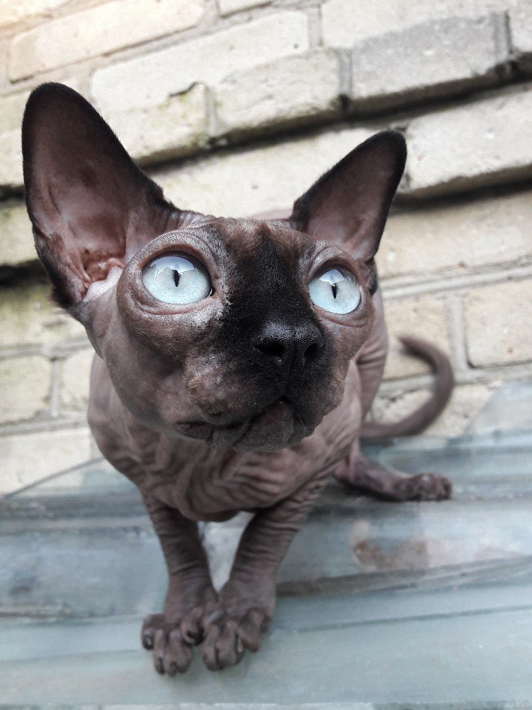 Из окна улица не казалась такой страшной