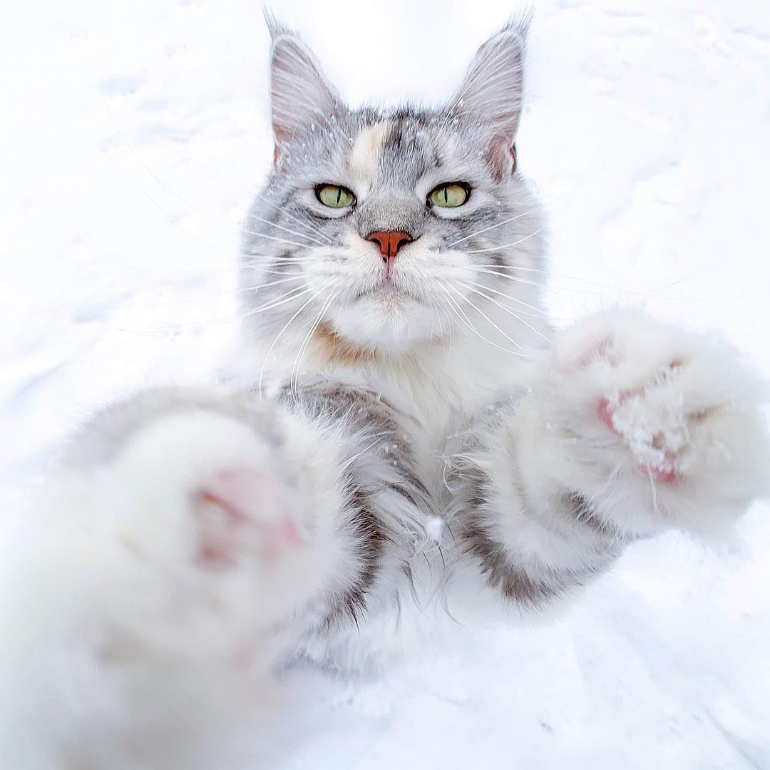 Мне так здорово ещё никогда не было