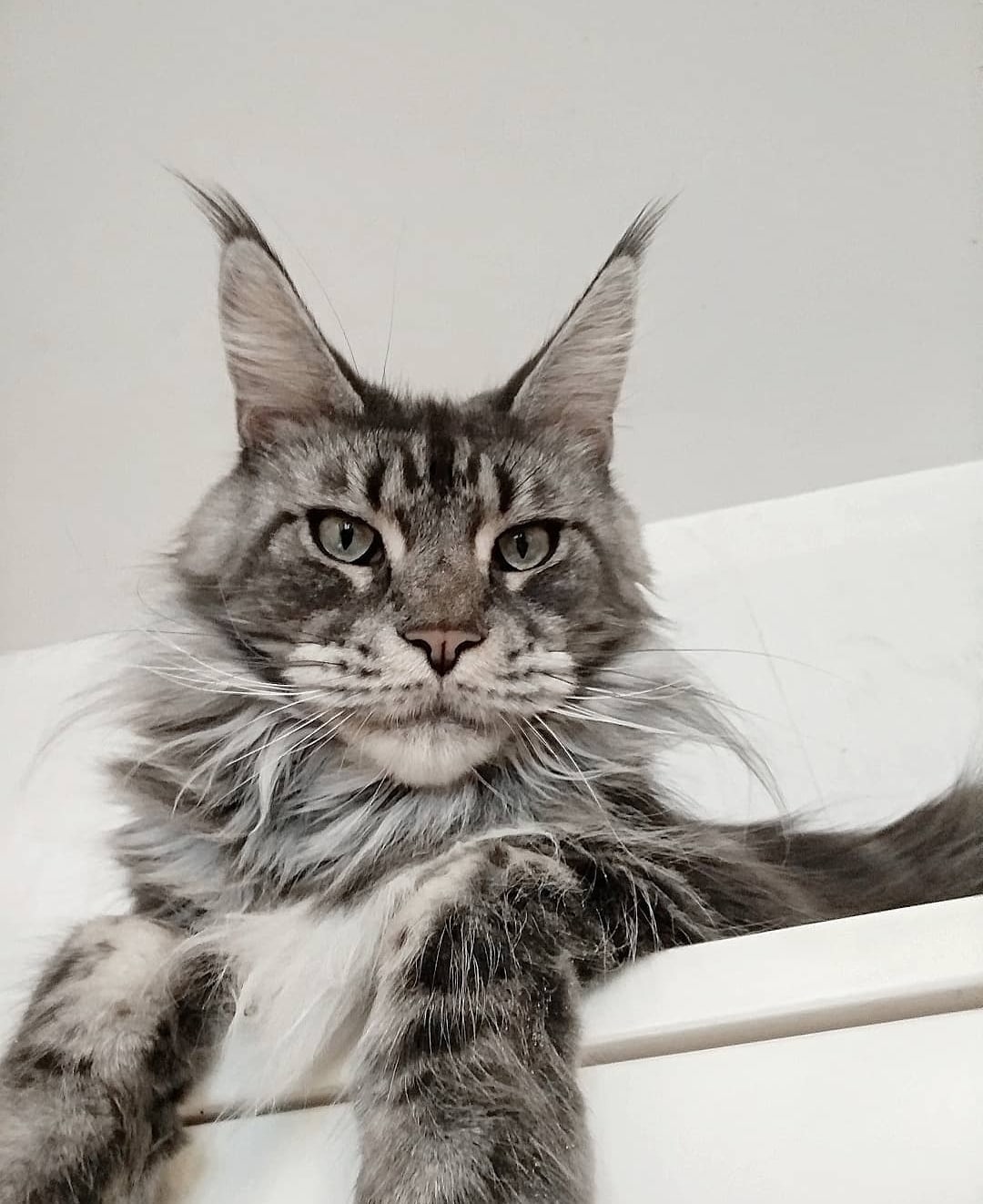 Мне отсюда всё видно и слышно